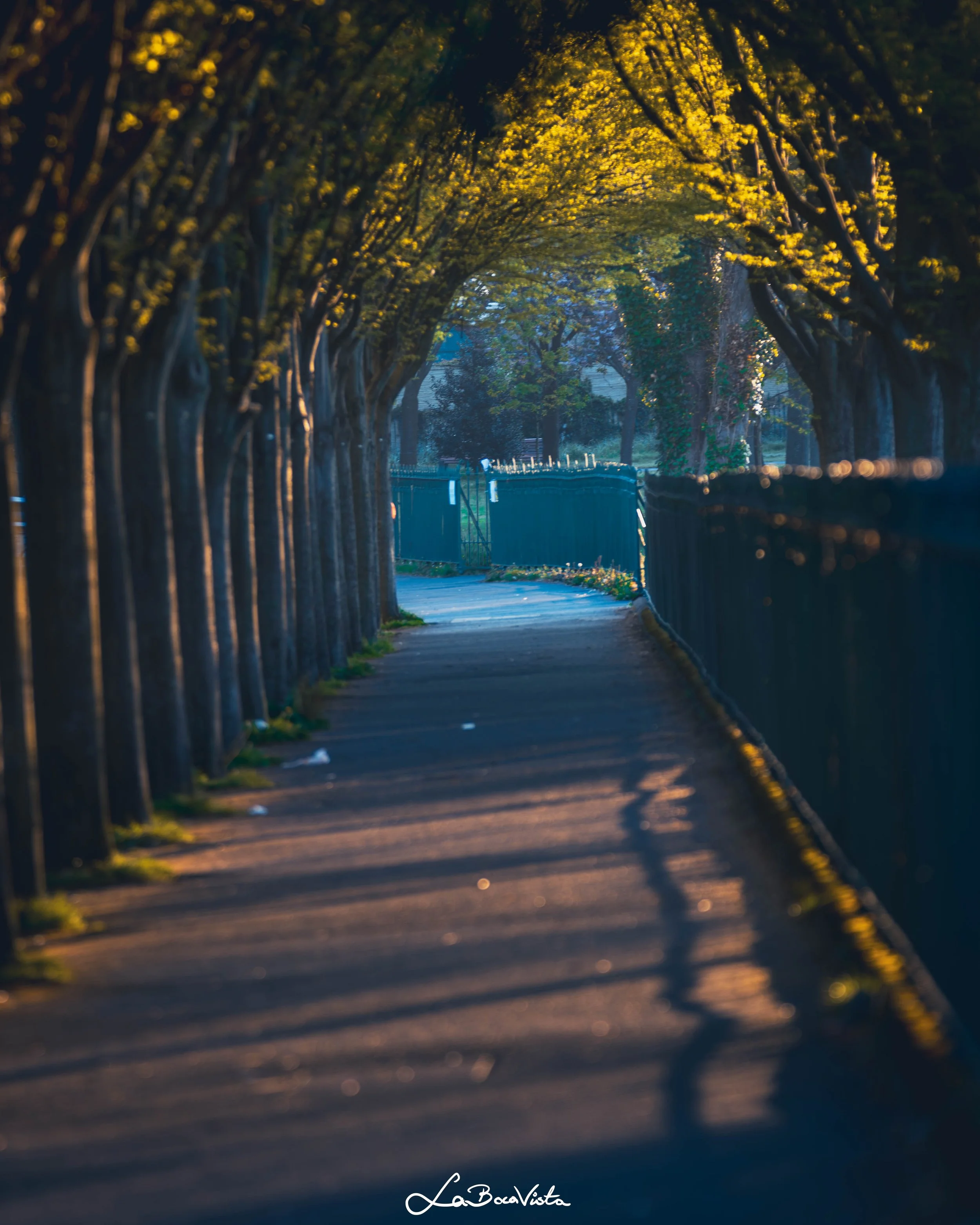 HerbertPark_09.jpg