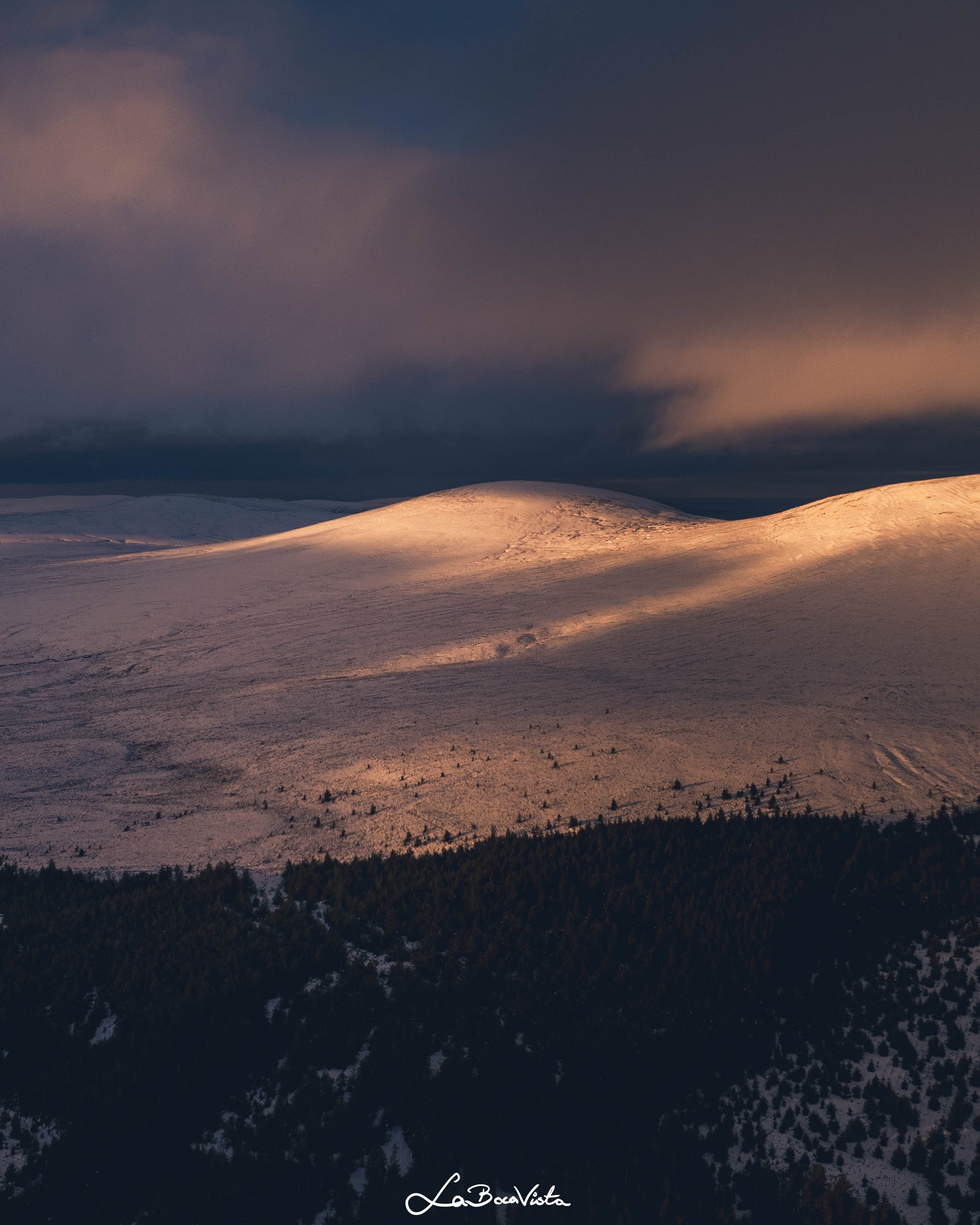 wicklow_04.jpg