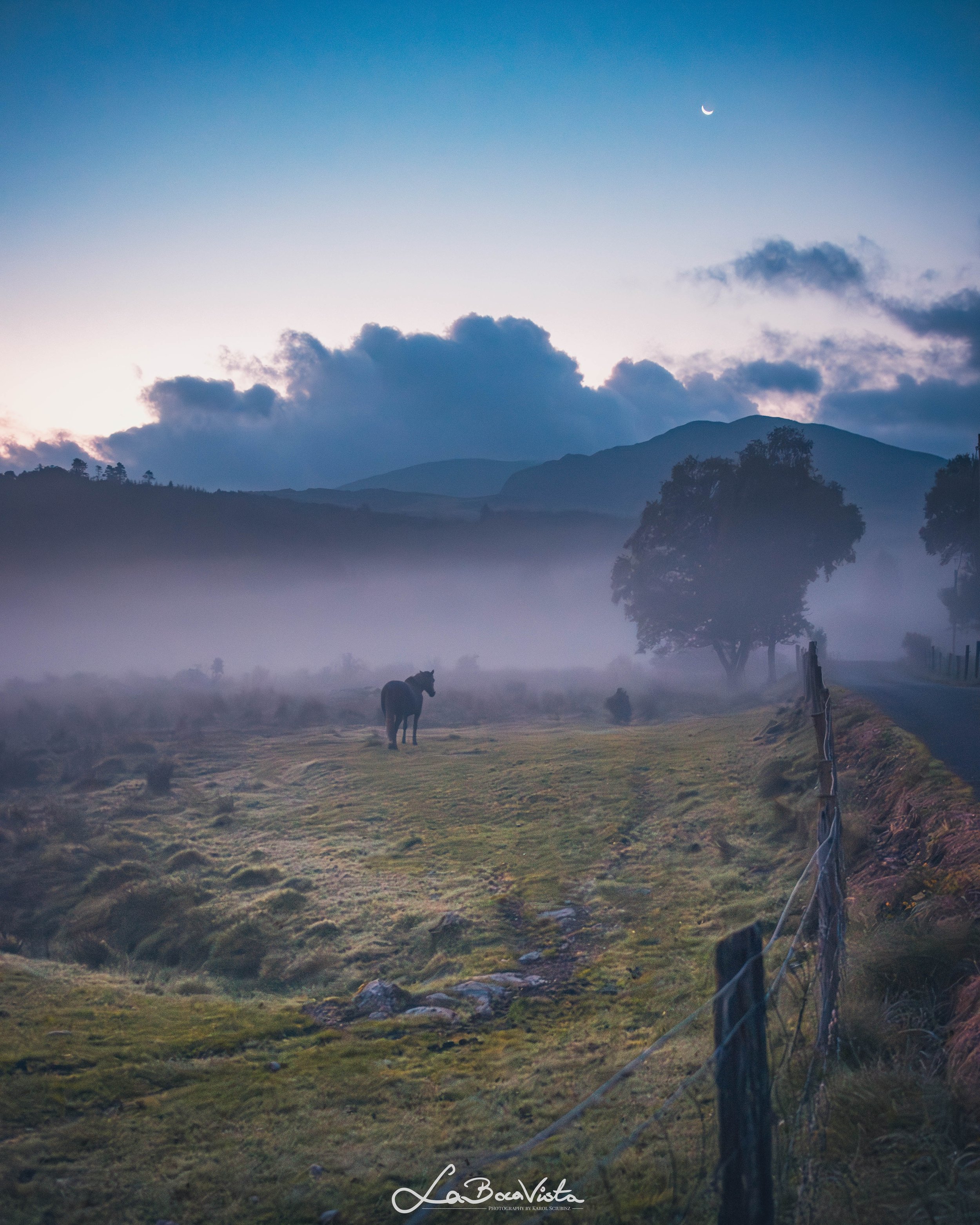 killarney_06.jpg