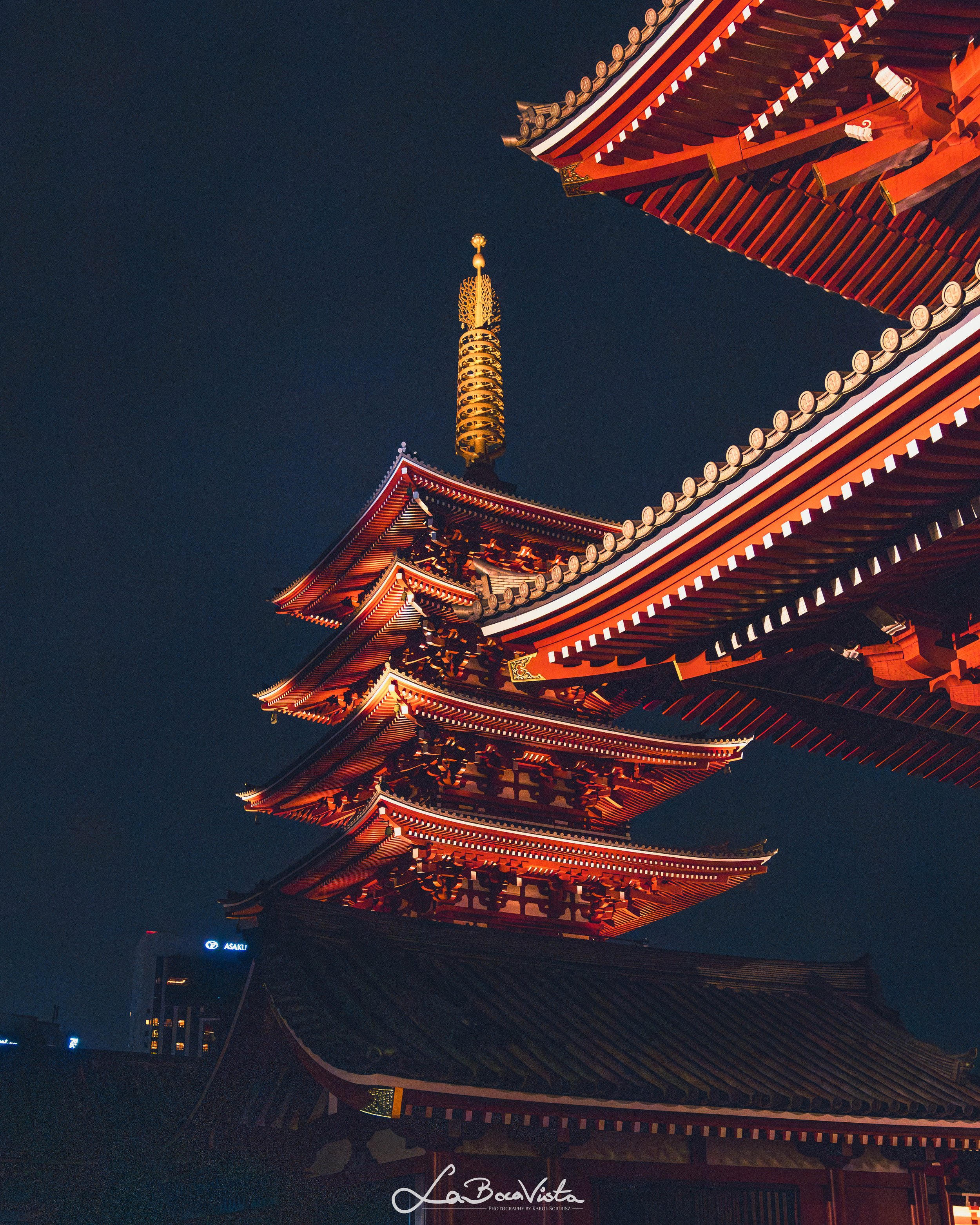 IMG_0742-Enhanced-NR_tokyo.jpg