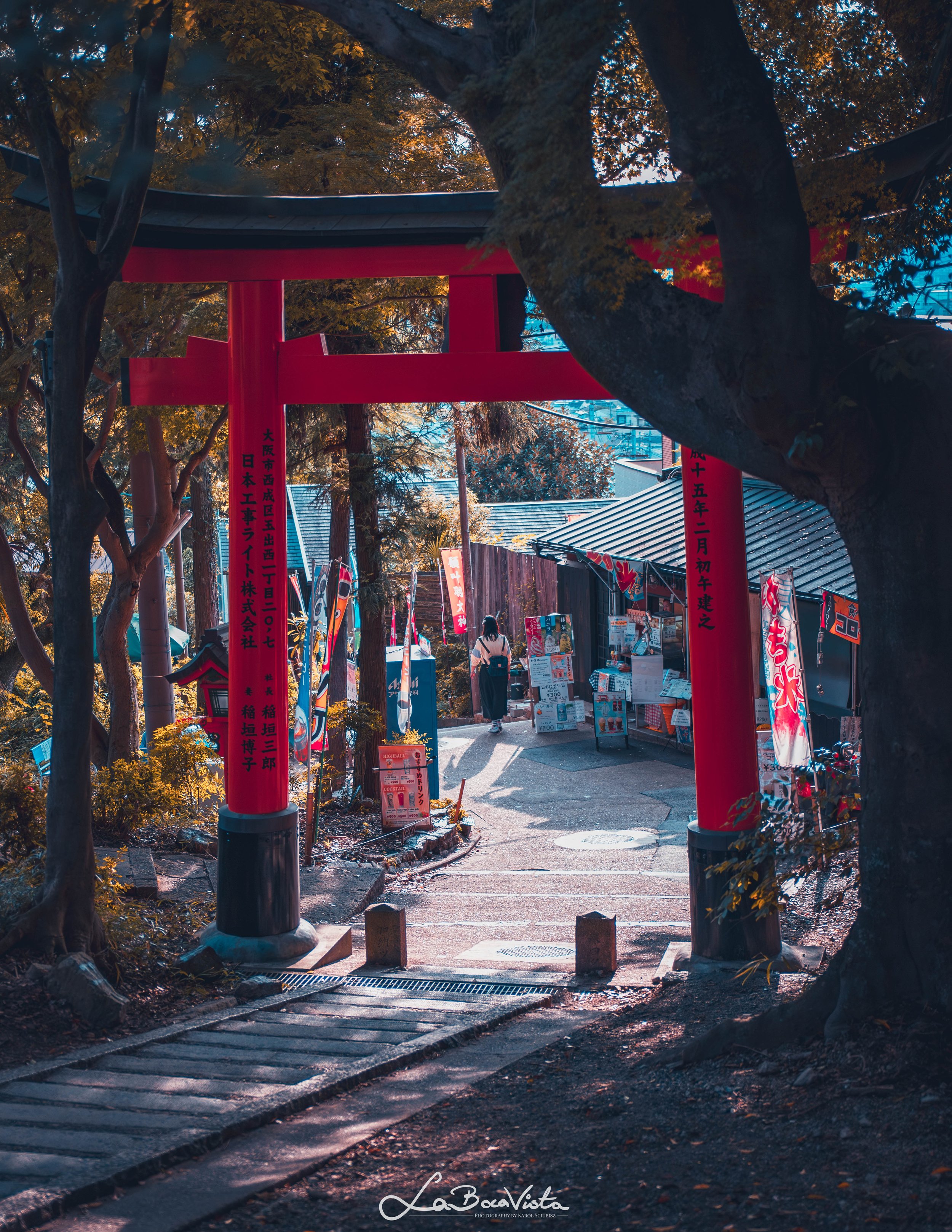 Copy of IMG_4411-Enhanced-NR_kyoto.jpg