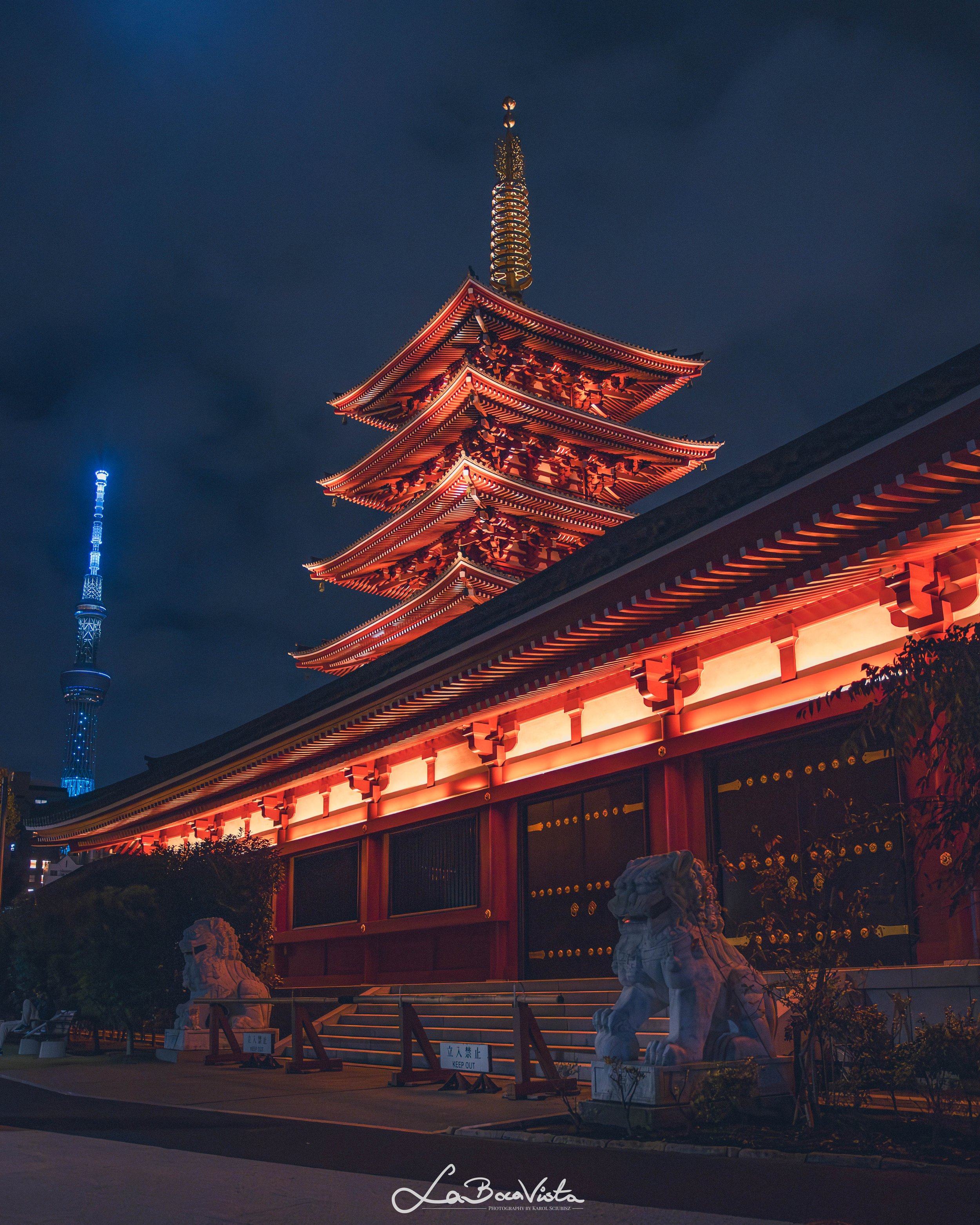 IMG_0599-Enhanced-NR_tokyo.jpg