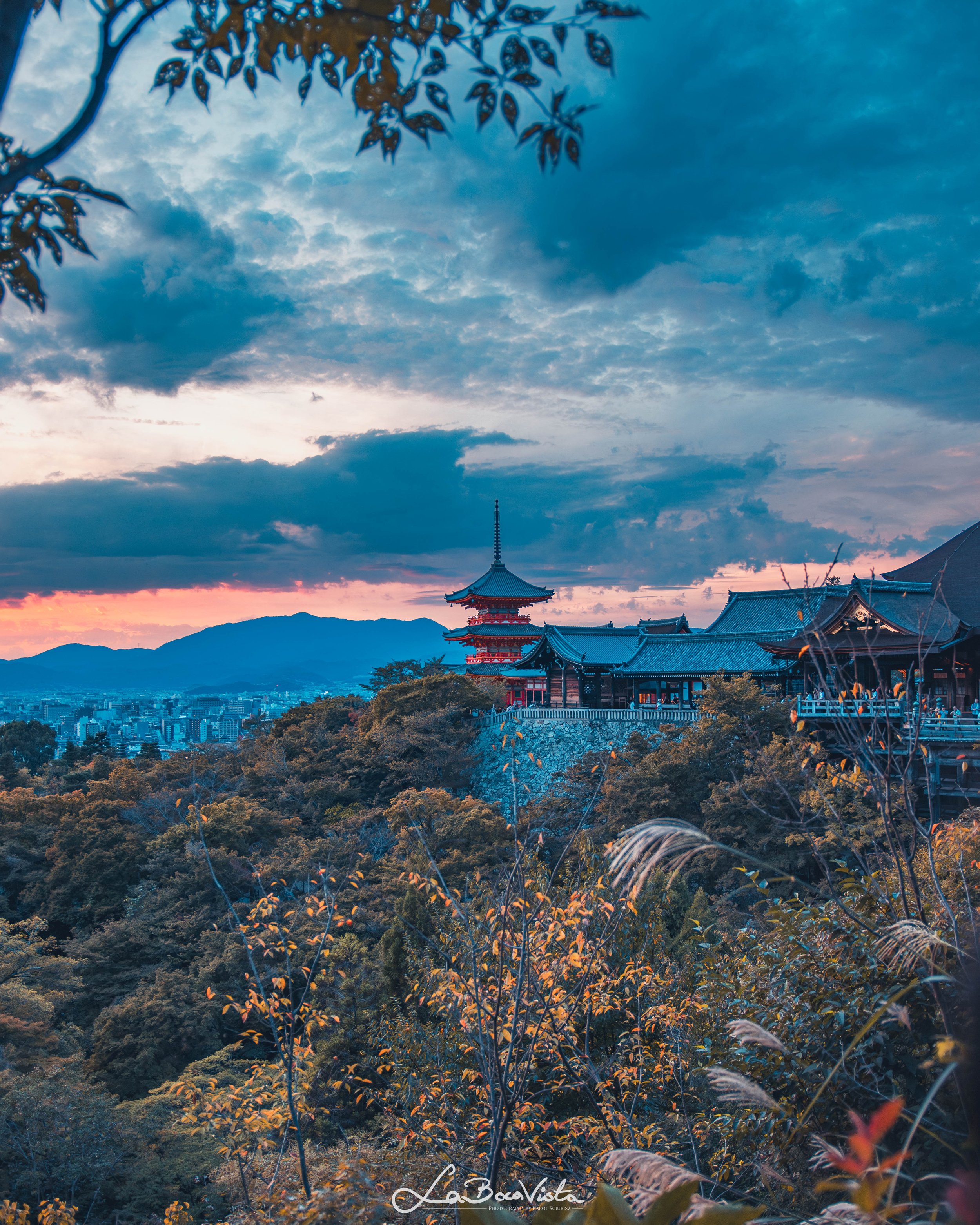 IMG_4760-Enhanced-NR_kyoto.jpg