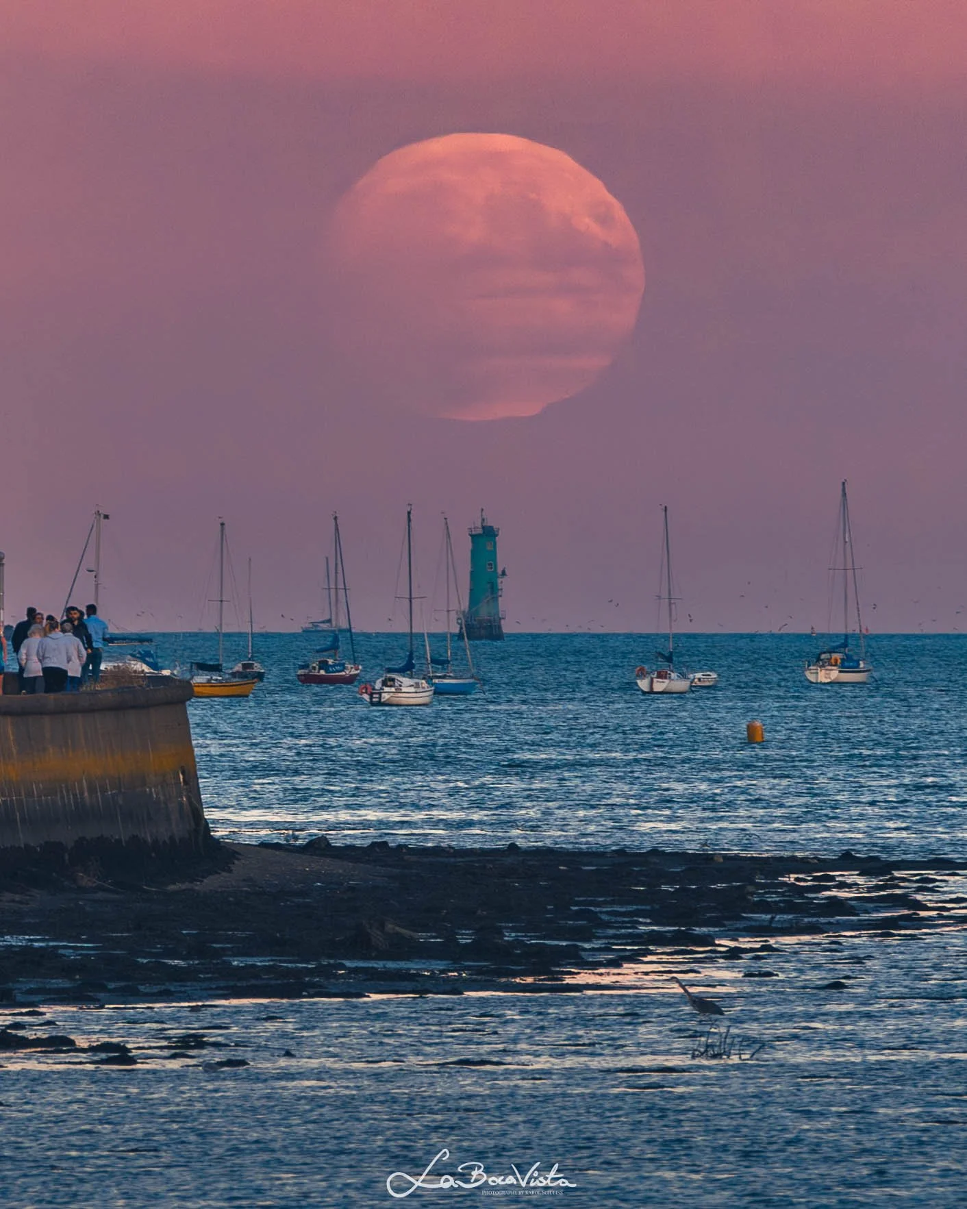 Clontarf_59.jpg
