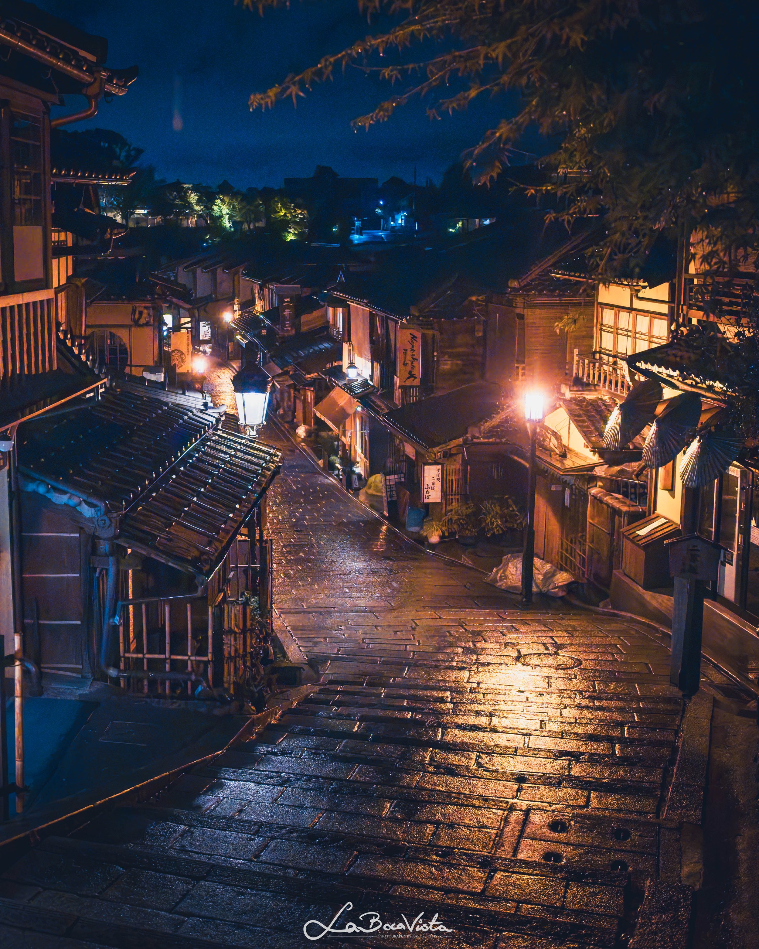 IMG_6866-HDR-Enhanced-NR_kyoto.jpg