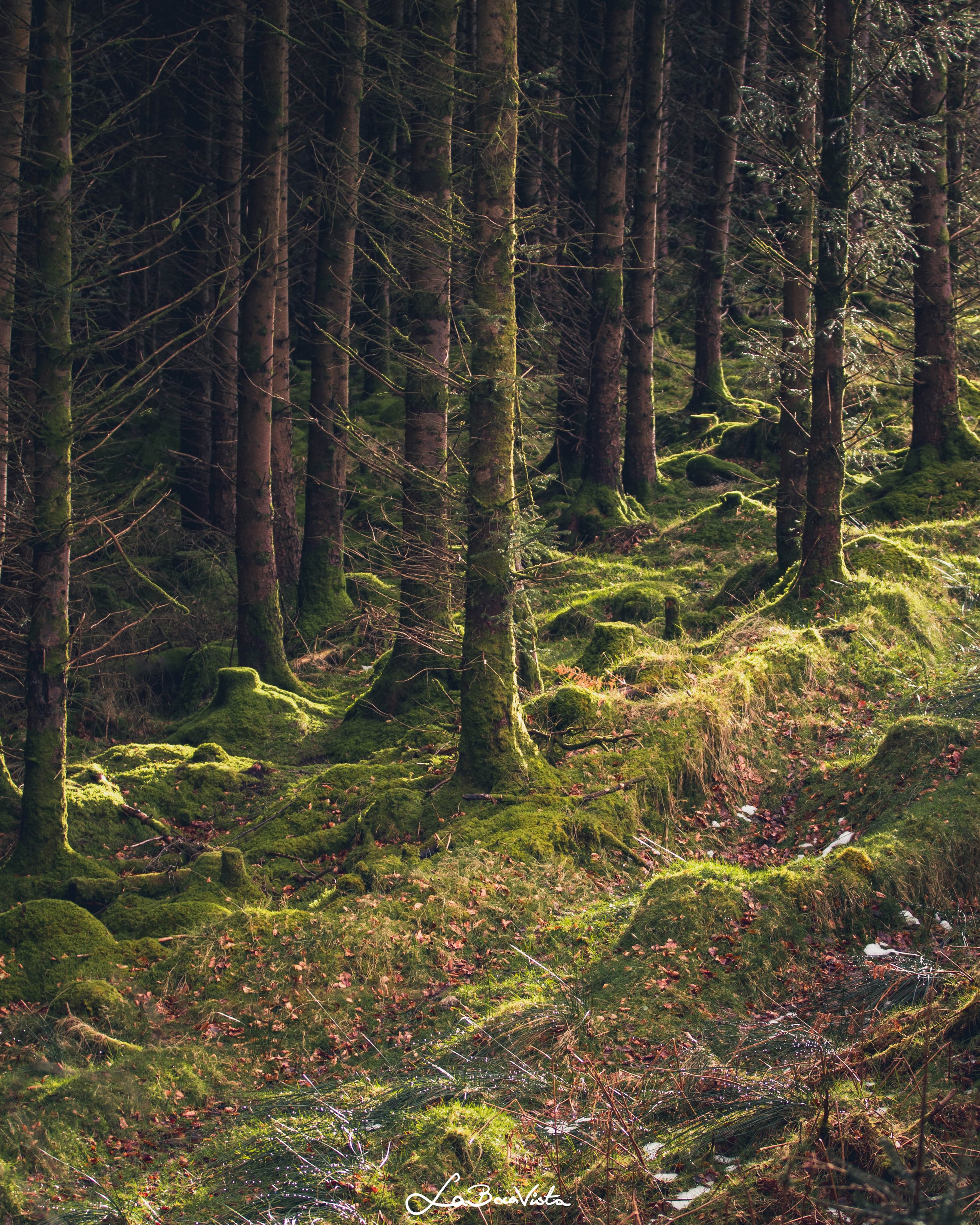 wicklow_28.jpg