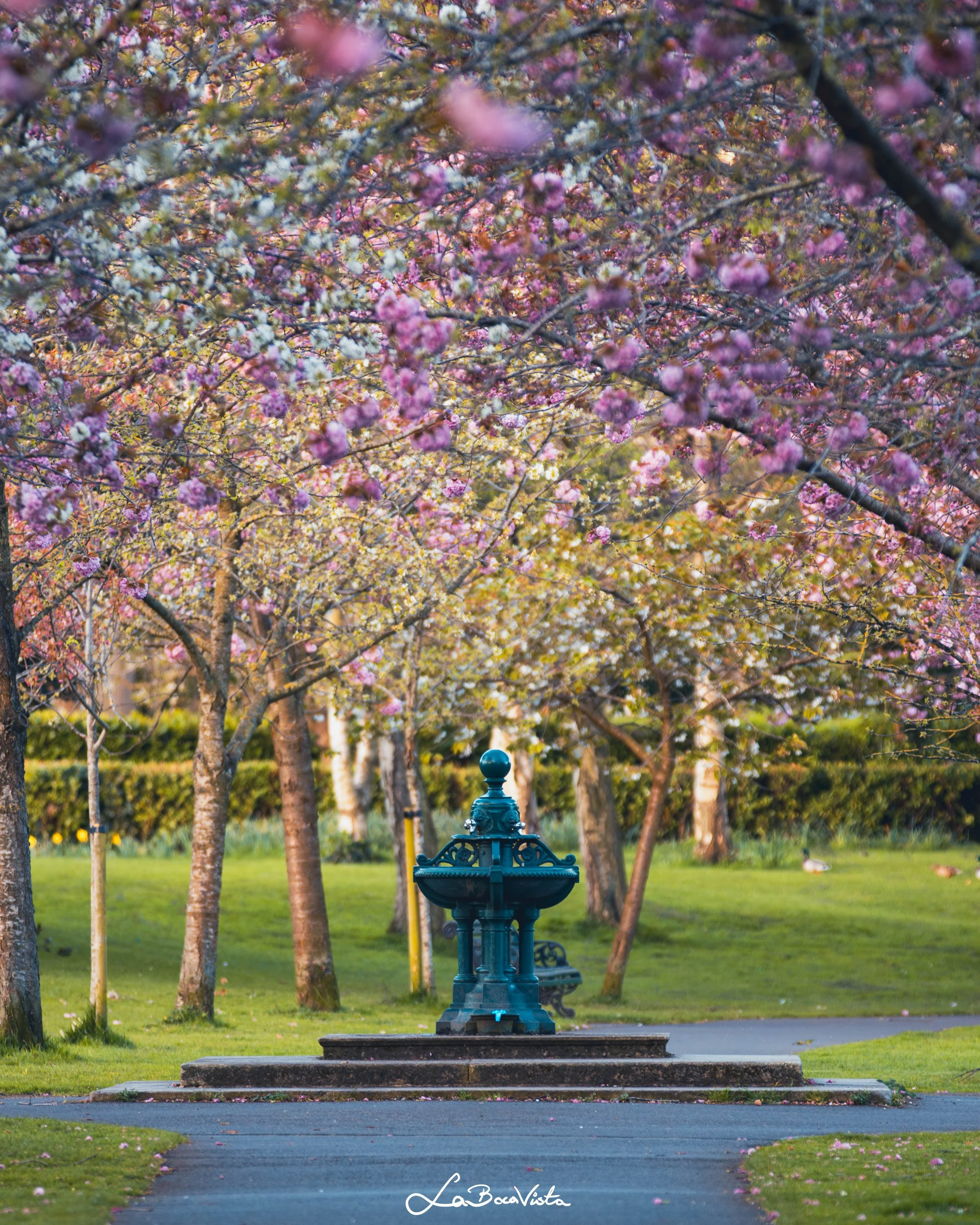 HerbertPark_02.jpg