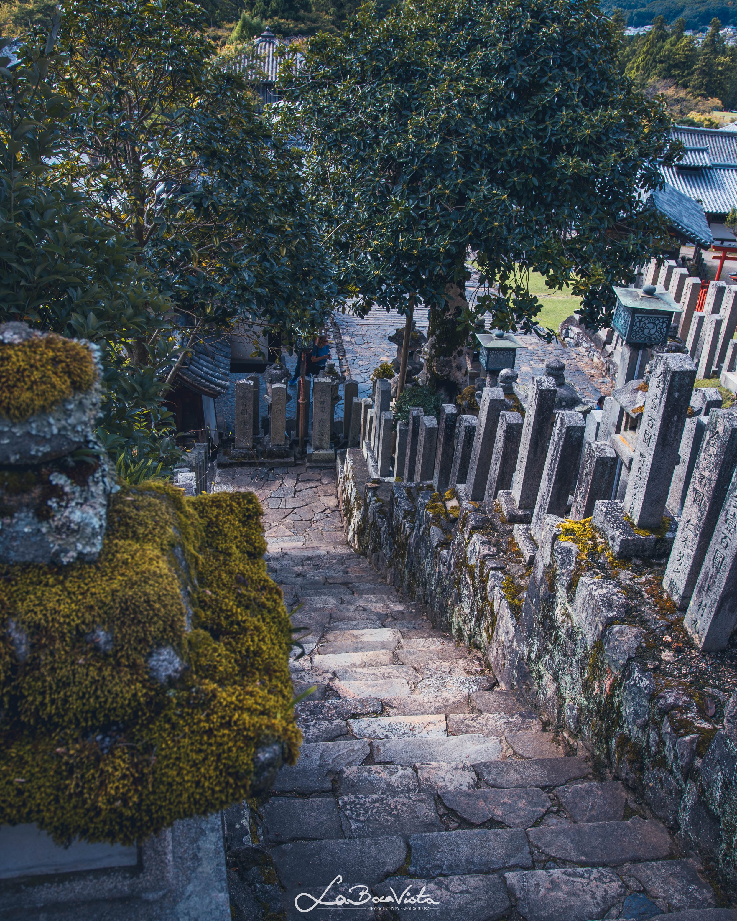 IMG_2810-Enhanced-NR_nara.jpg