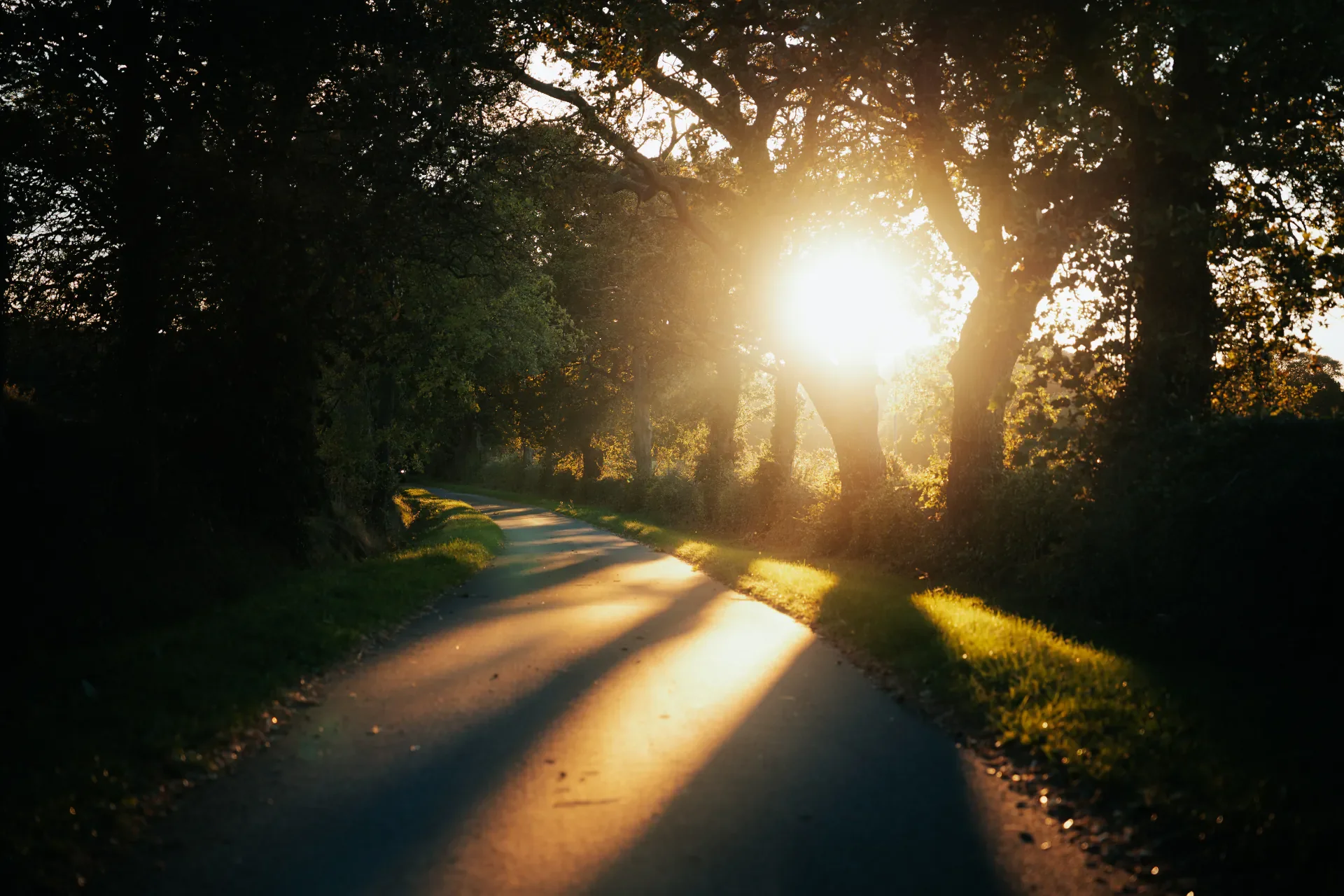 Healey - Sam Ashton - 10.25 - SA105452.webp