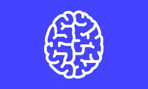 Brain.jpg