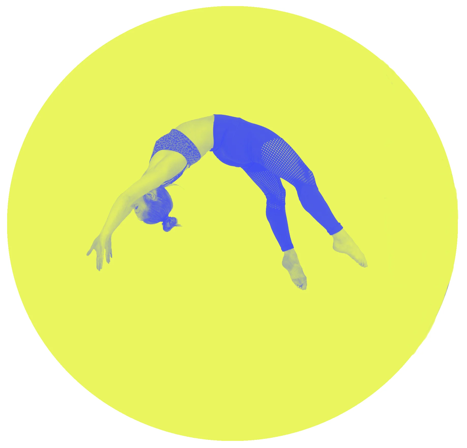 yellowflip.jpg