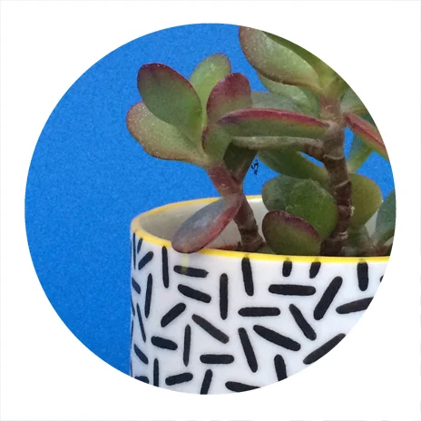 04 MID POT DASH_closeup.jpg