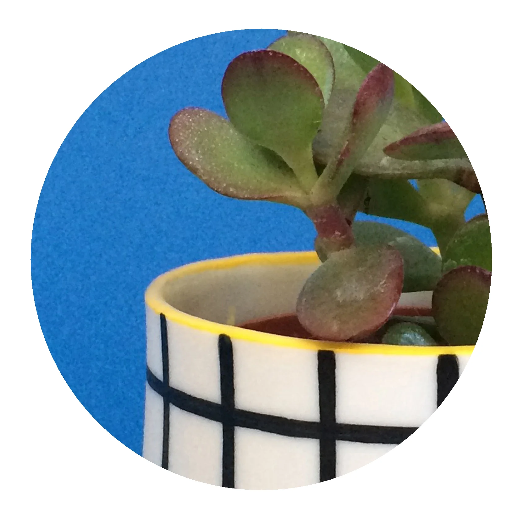 04 MID POT GRID_closeup.jpg