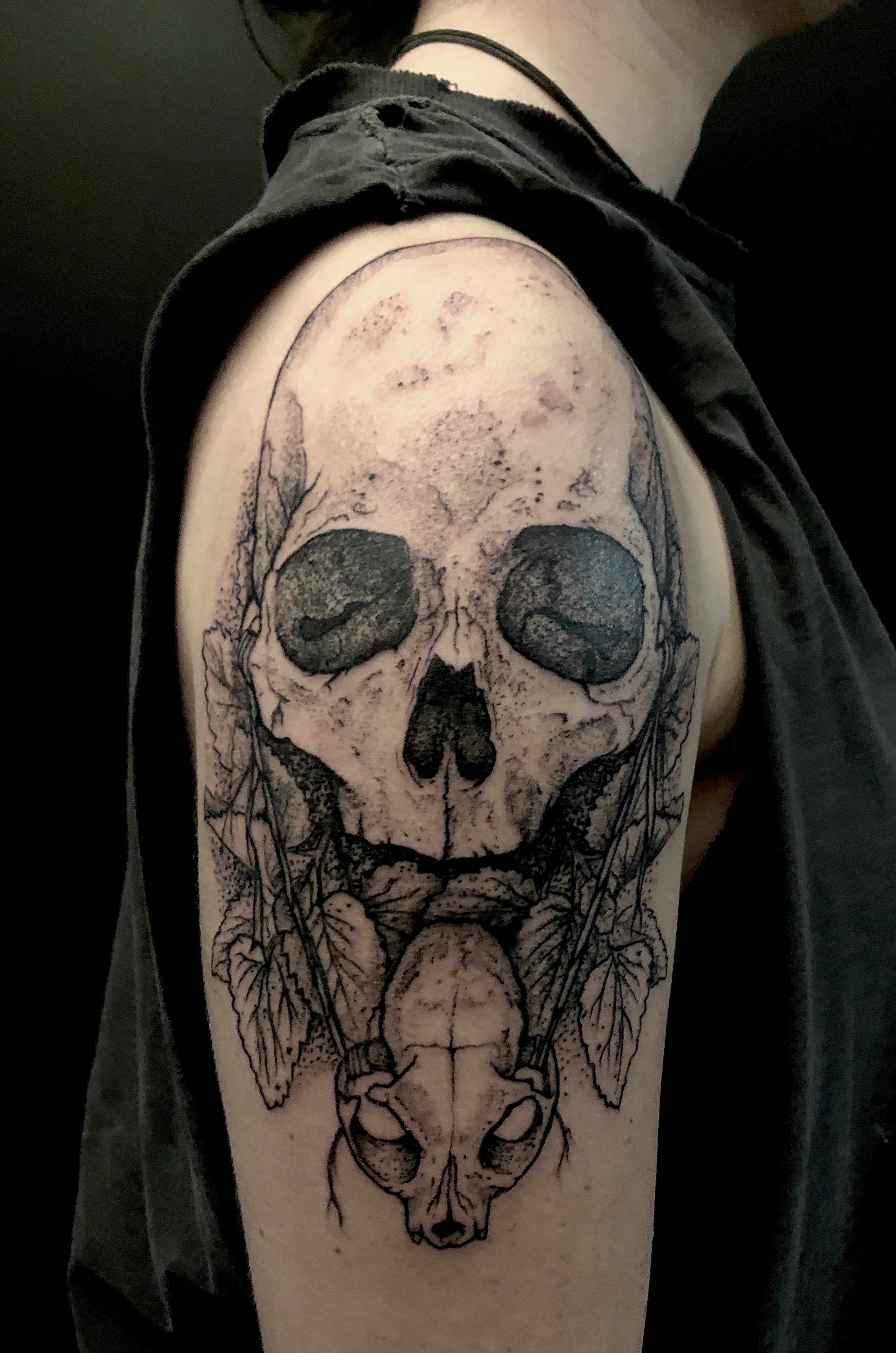 Human skull with cat skull and catnip shoulder tattoo