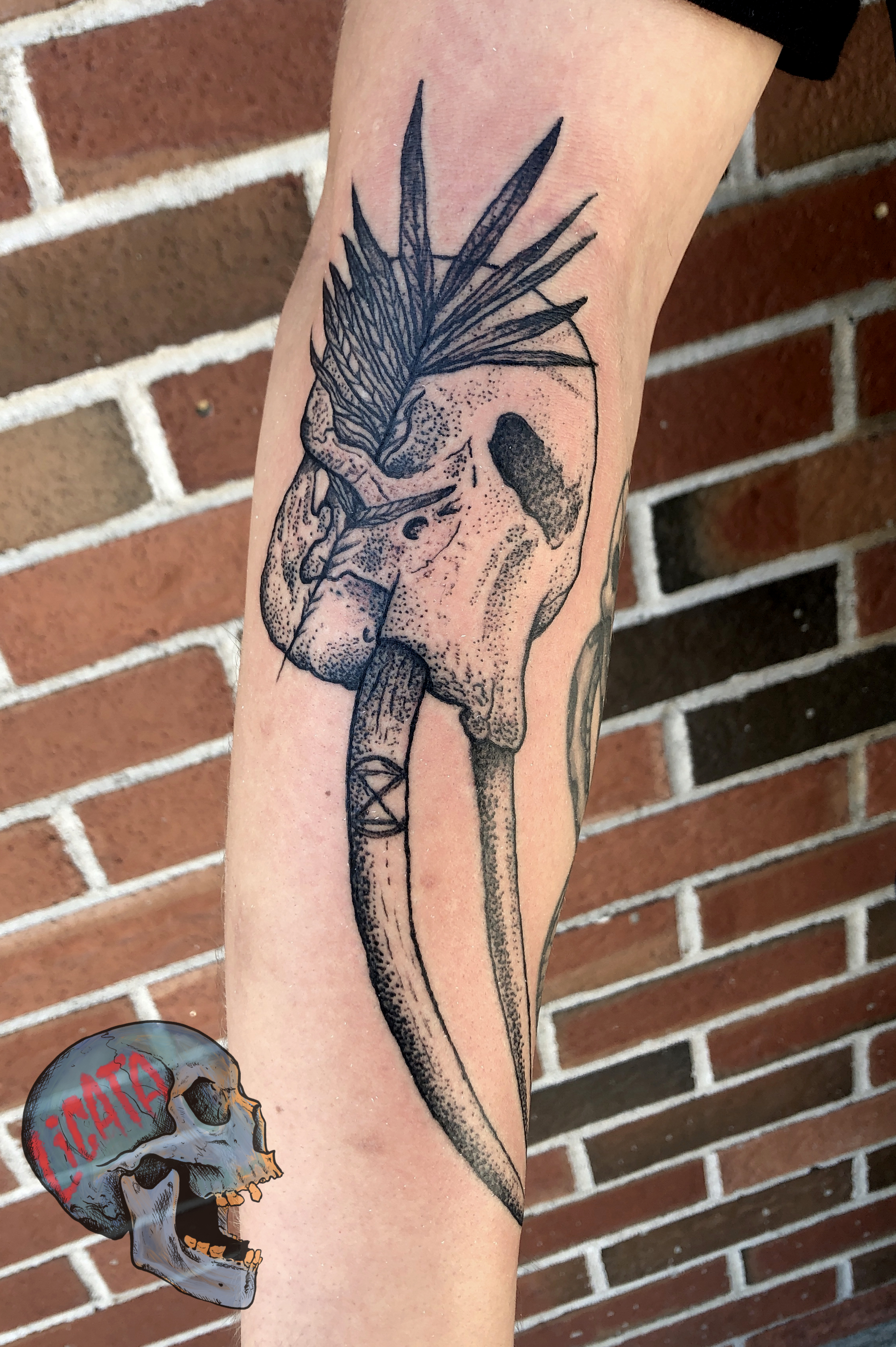 elephant skull extinction tattoo