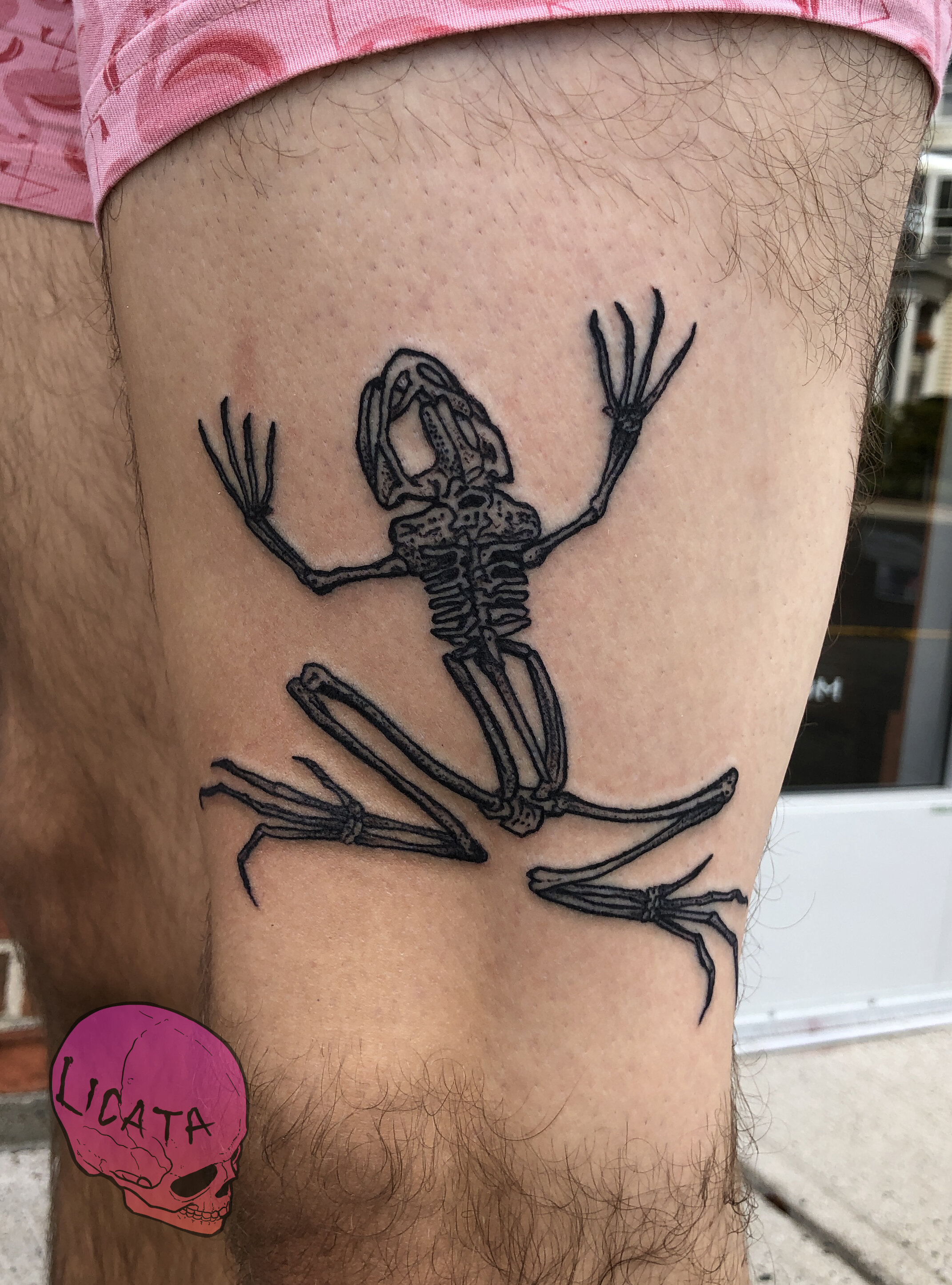 frog_skeleton_tattoo.jpg