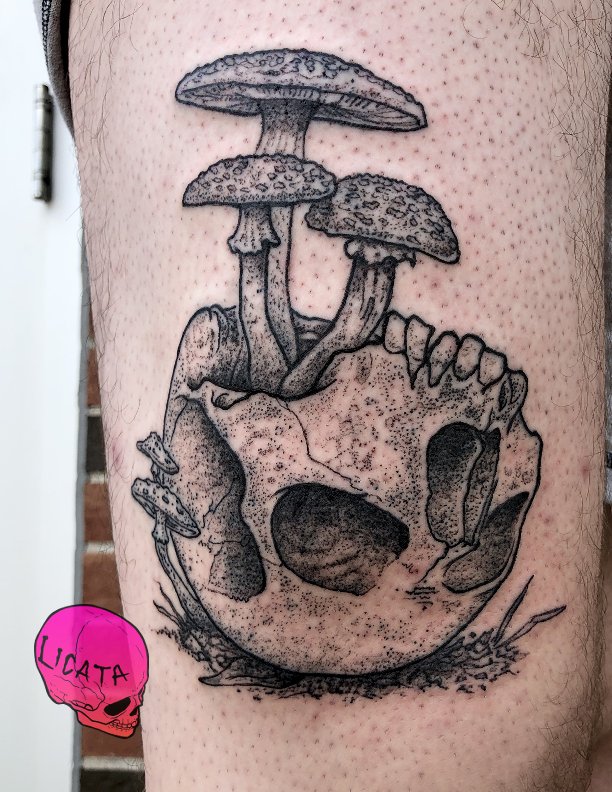 1400 Mushroom Tattoo Stock Photos Pictures  RoyaltyFree Images  iStock