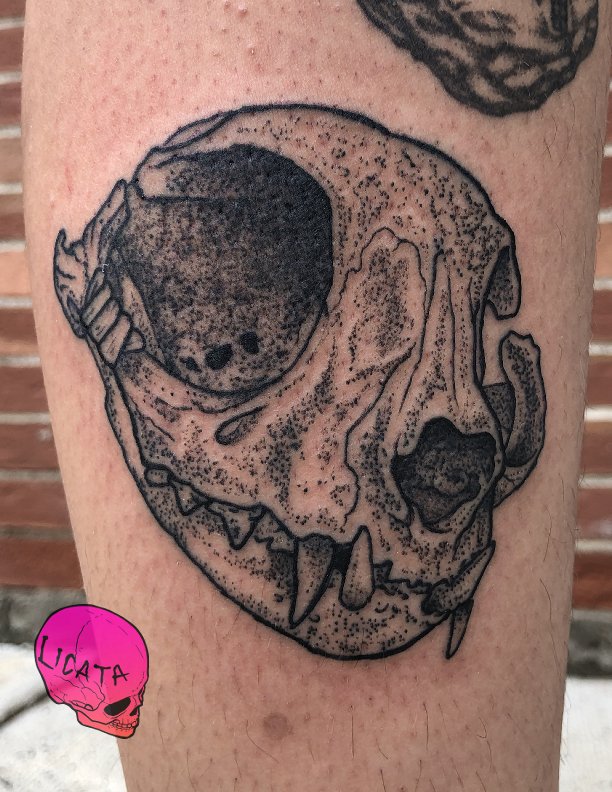 cat skull tattoo.jpg