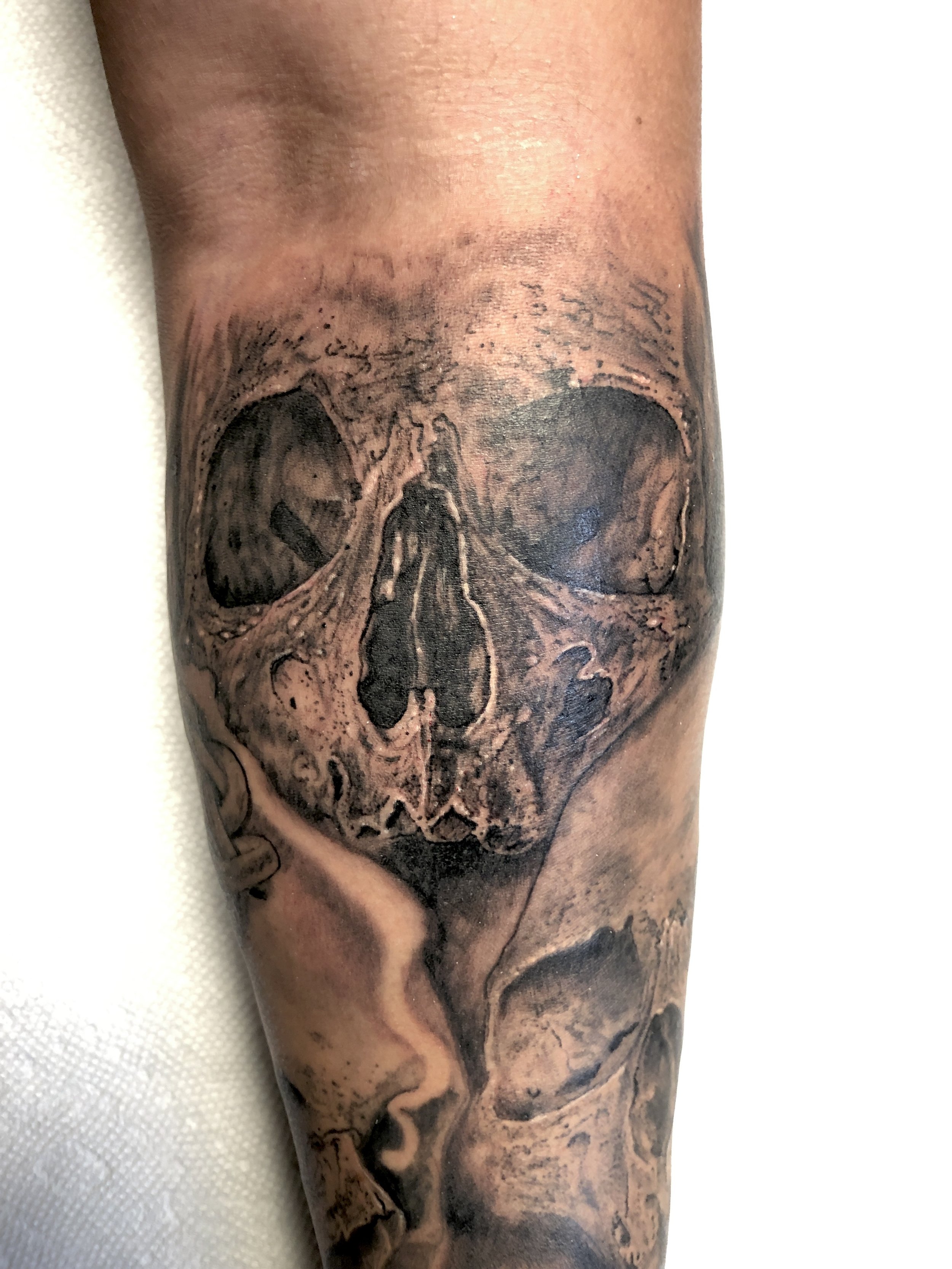 Realistic textured skull tattoo