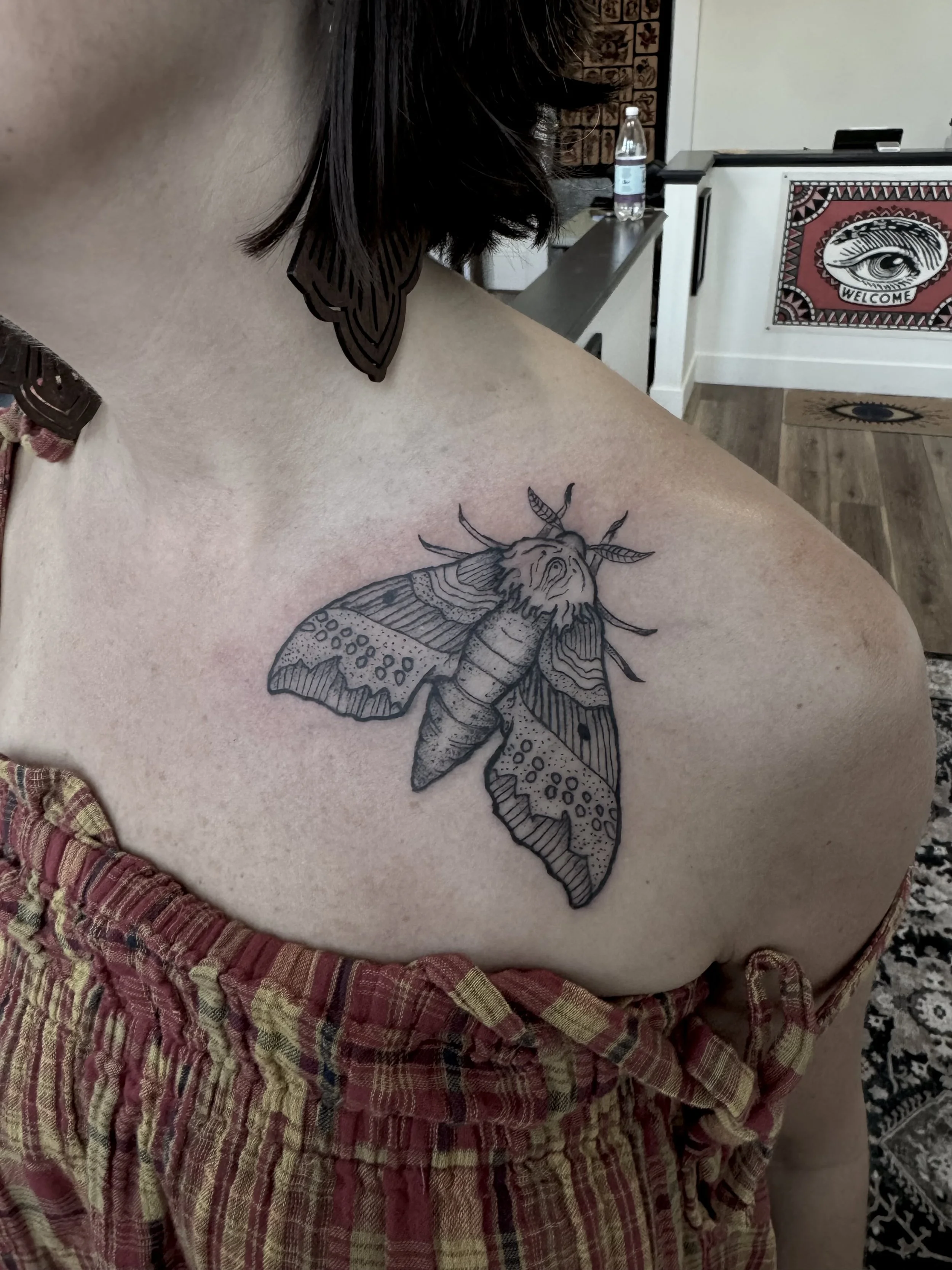 Moth Tattoo