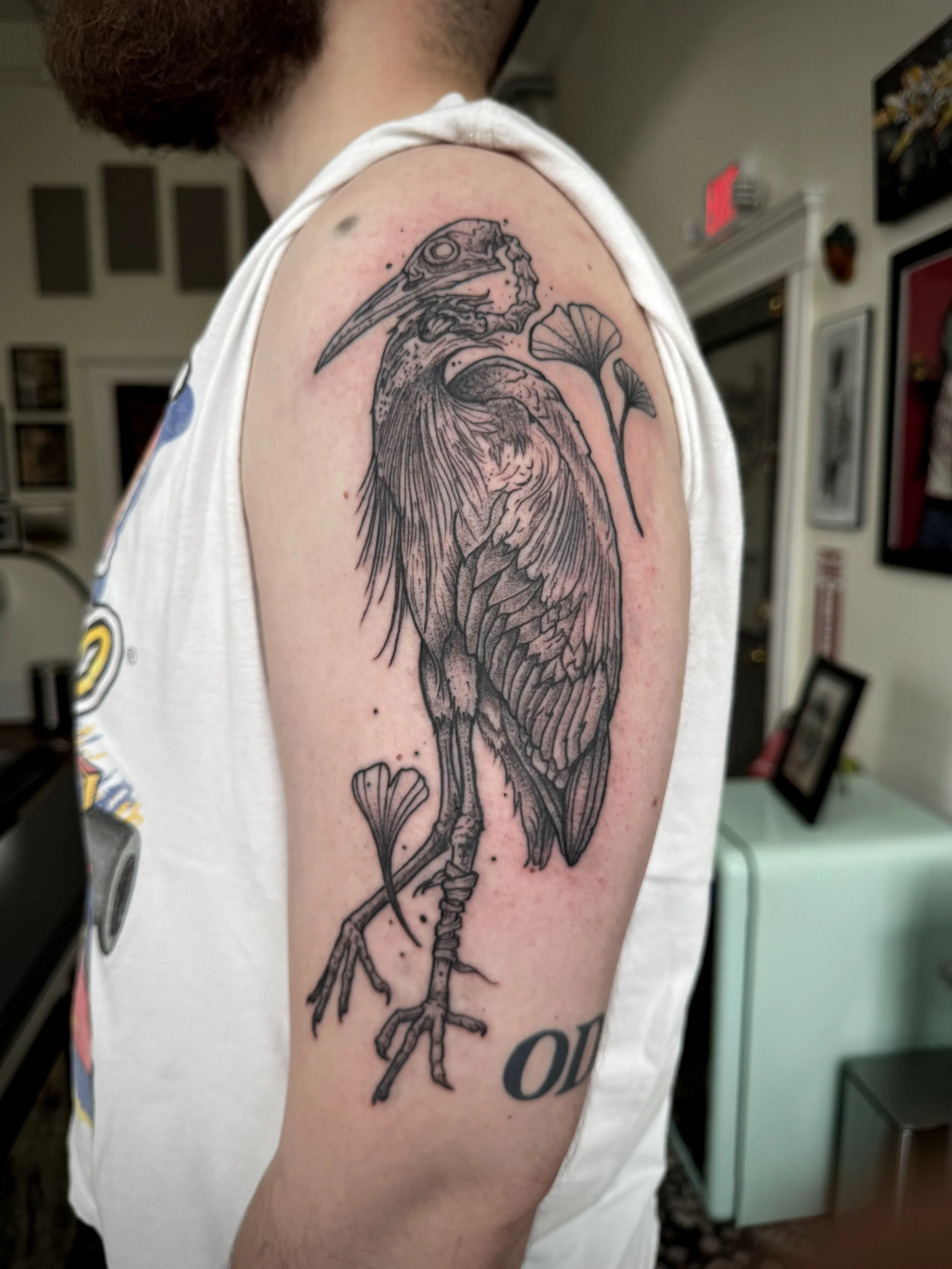 Heron