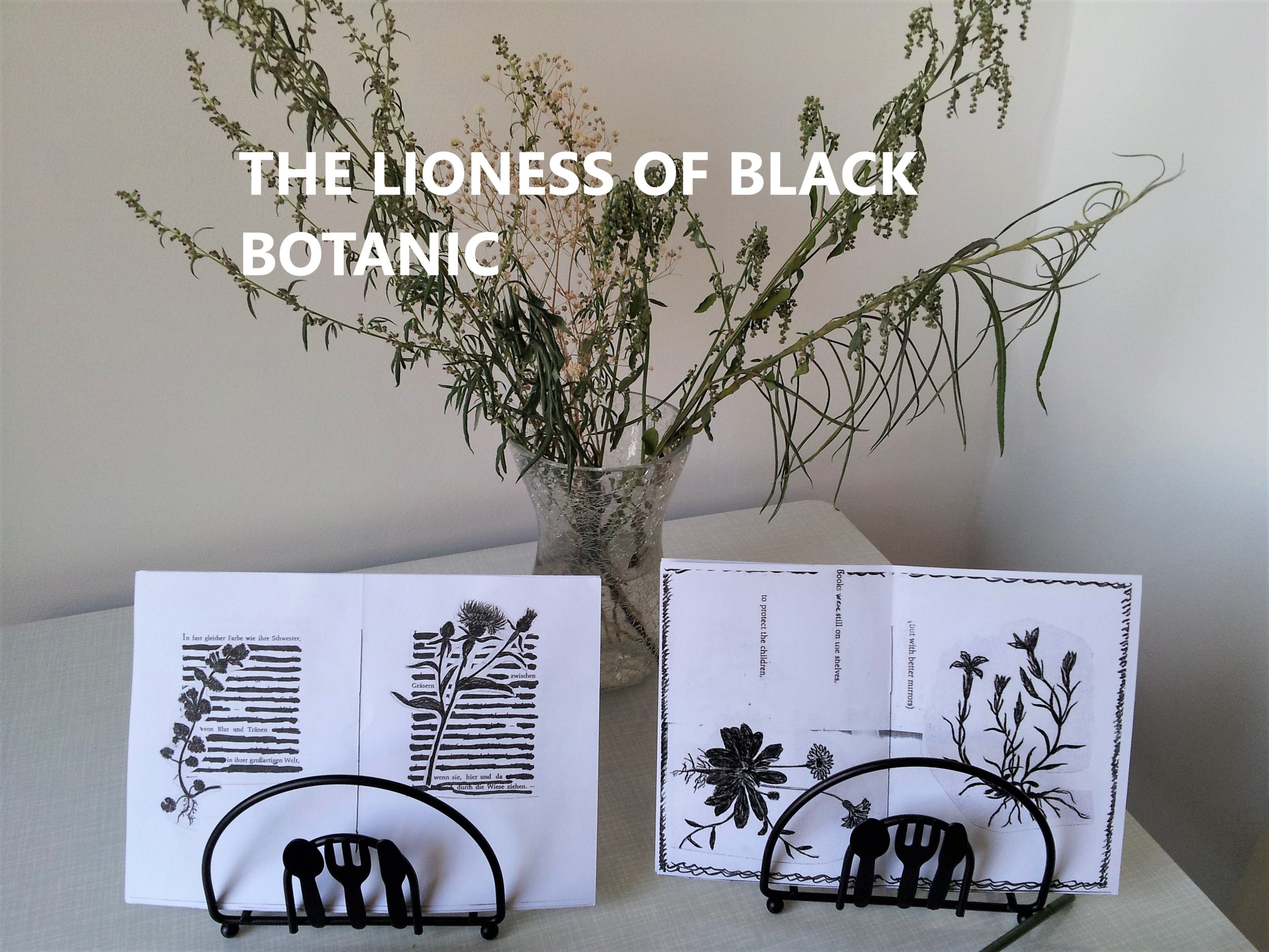 LIONESS BLACK BOTANIC.jpg