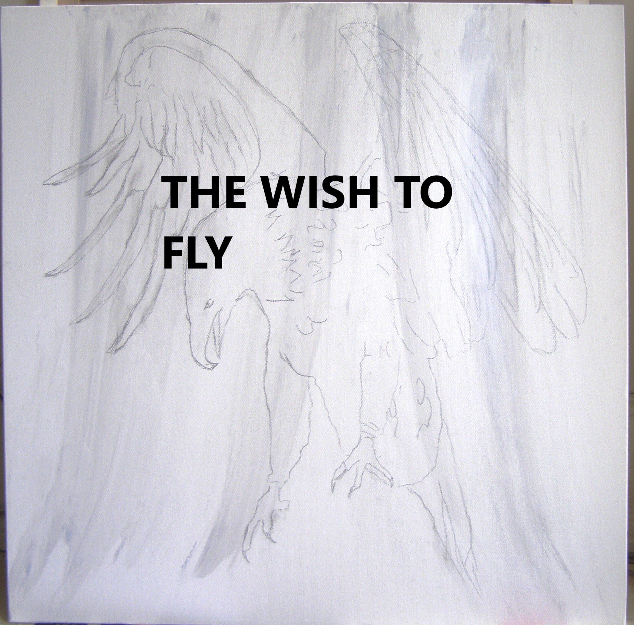 THE WISH TO FLY.jpg