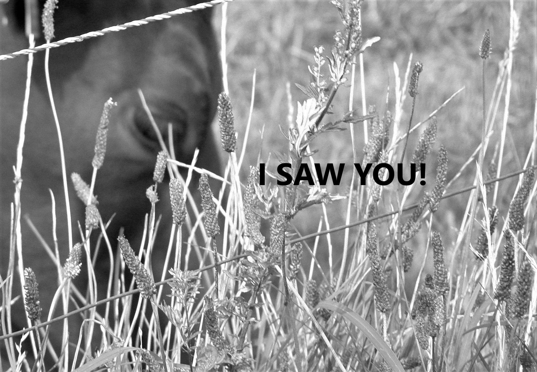 I SAW YOU.jpg