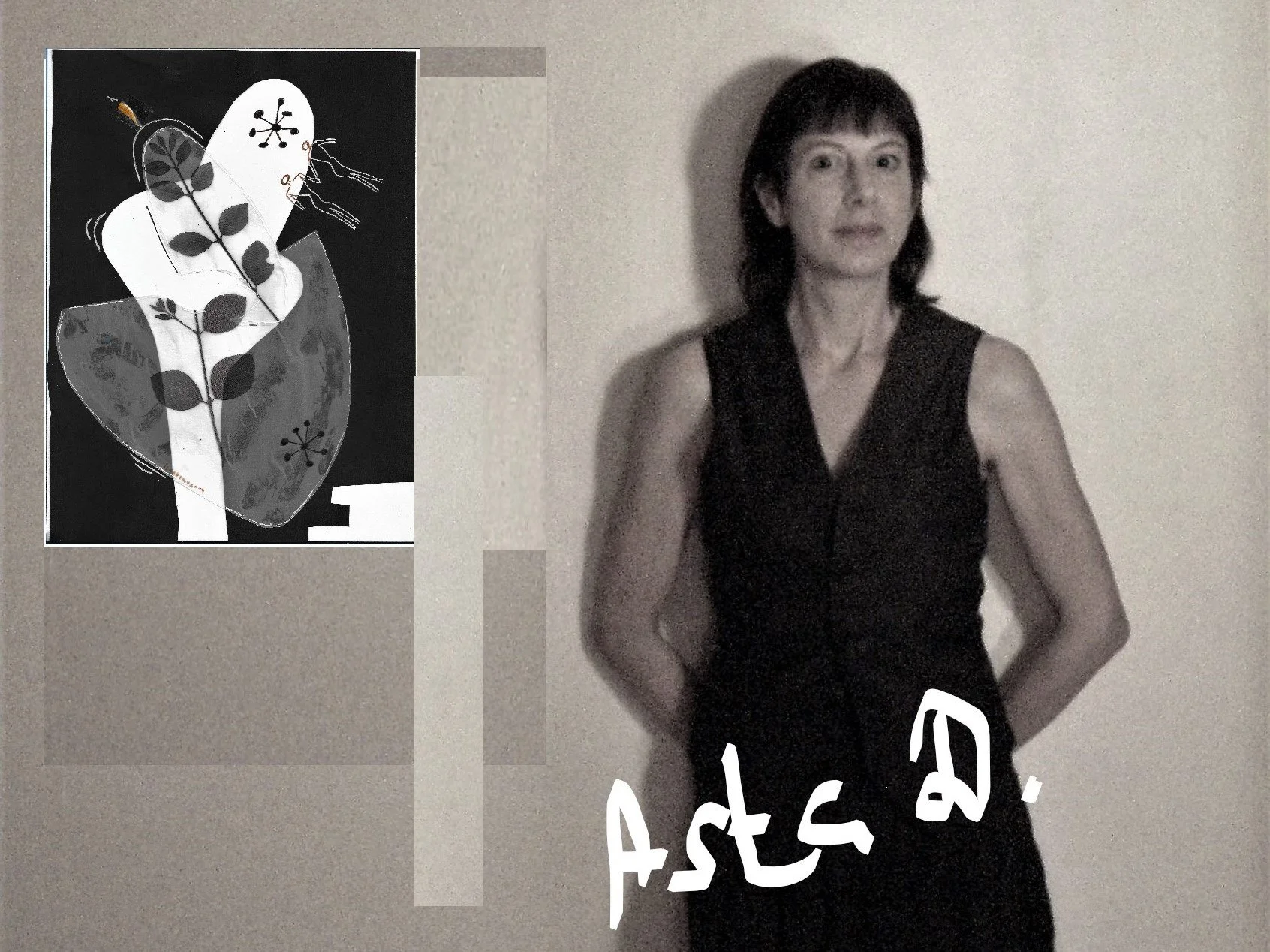 Asta-d-homepage.jpg