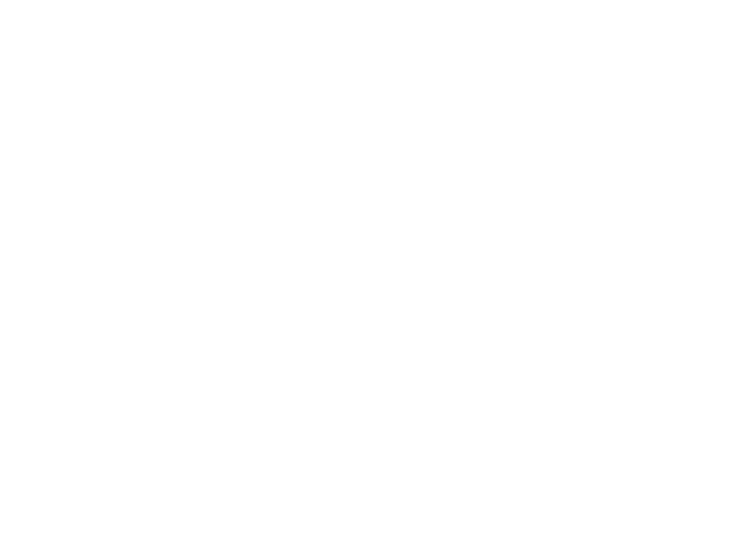 ZIGsZEN