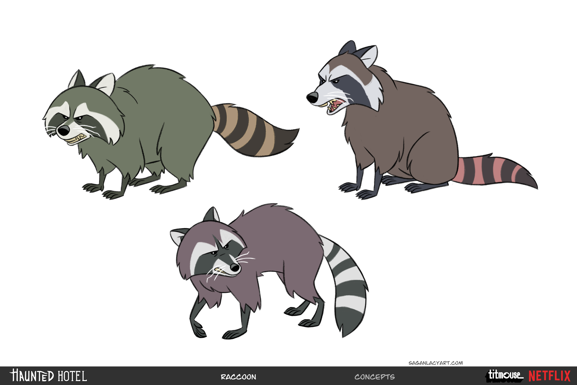 SGL_CharDesign_HH_Concepts_Raccoon.png