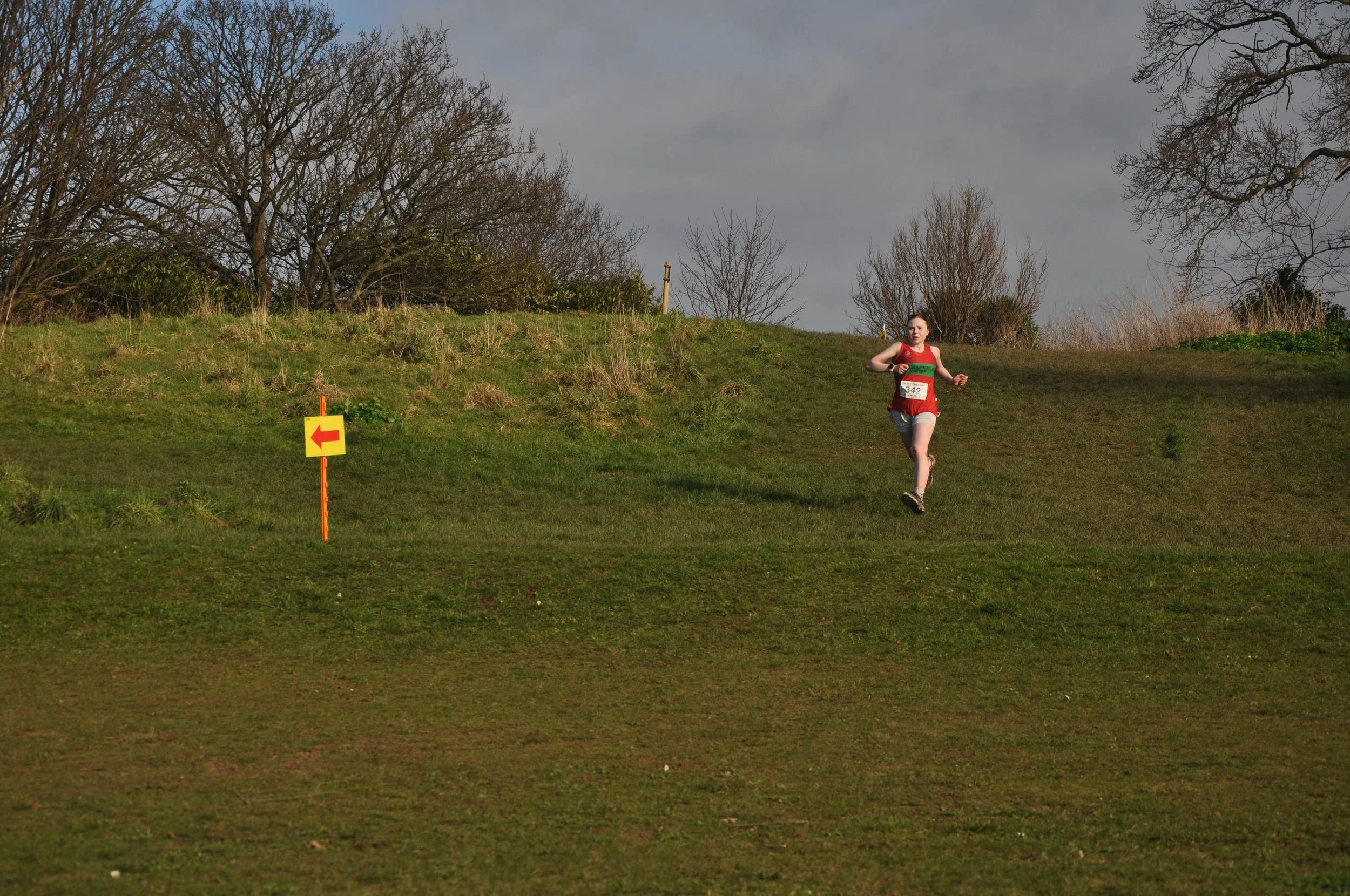 DSC_0171.JPG