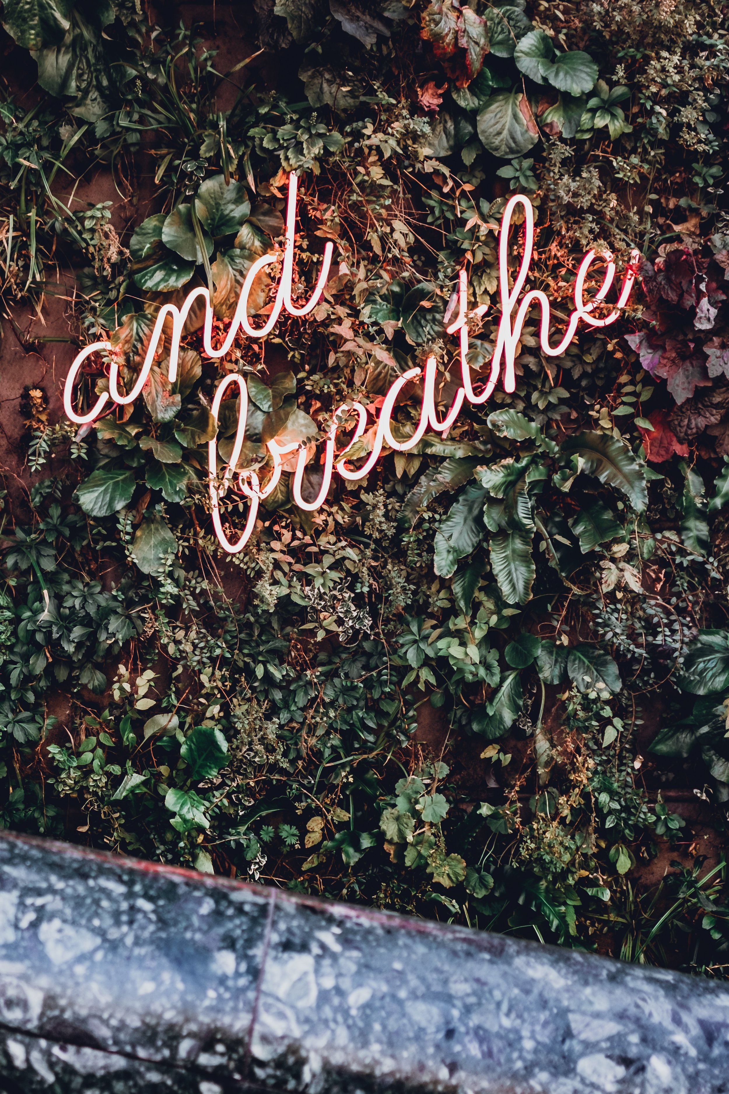 robin-benzrihem-545321-unsplash.jpg