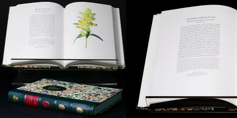 Doina Moss Reporting From a Private View at 'The Transylvanian Florilegium', An Exhibition of Botanical Watercolours 