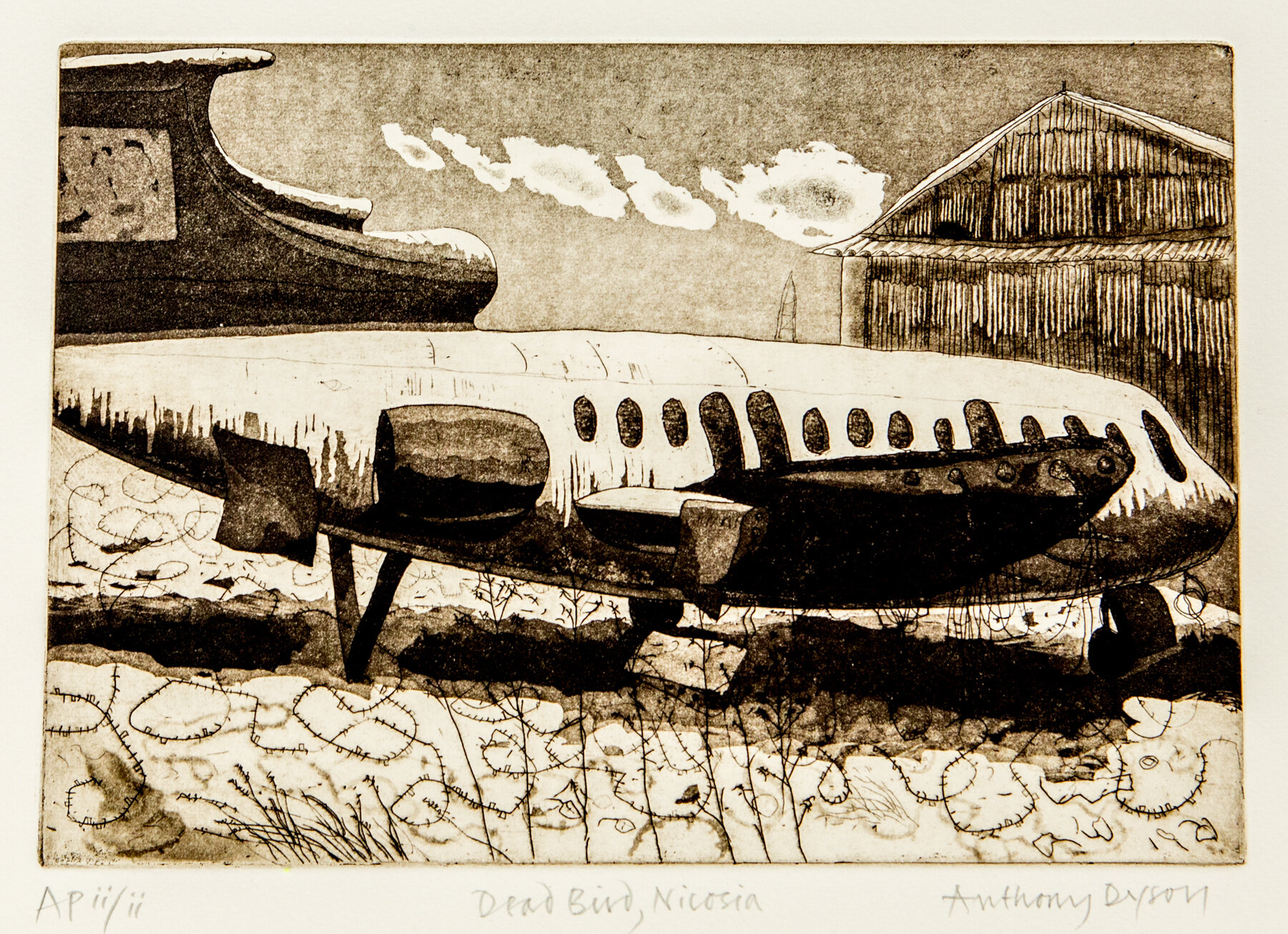 'Dead Bird, Nicosia'