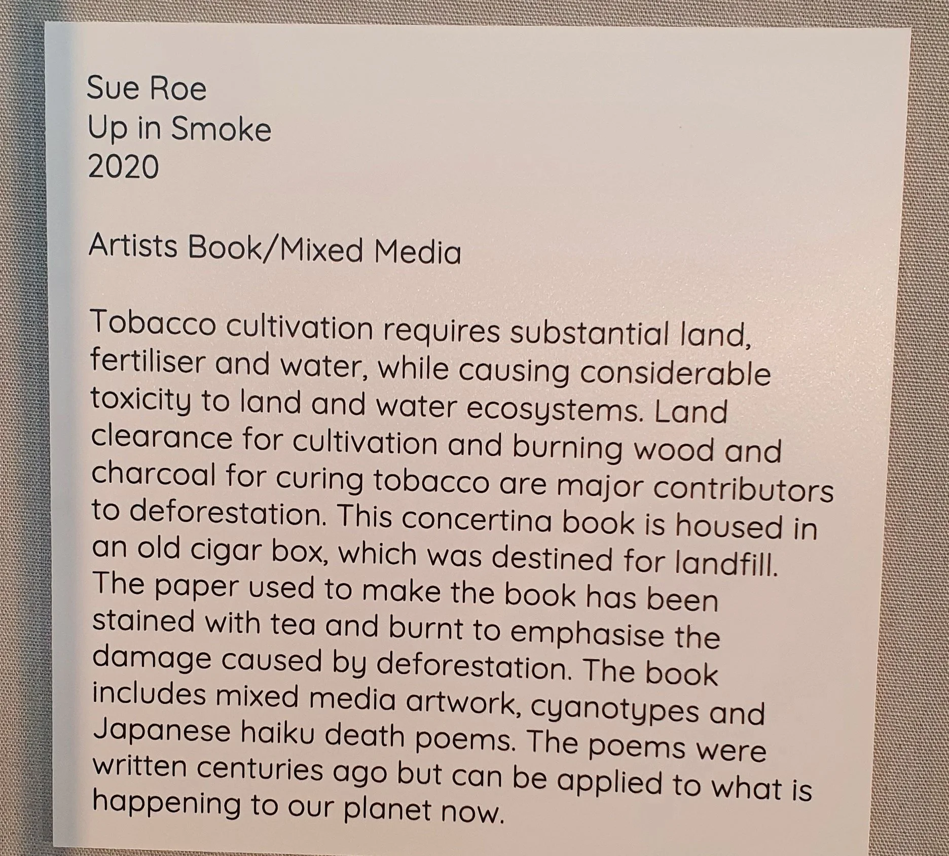 Sue Roe and Cristina Schek exhibiting at Kingston Museum Art Gallery ...