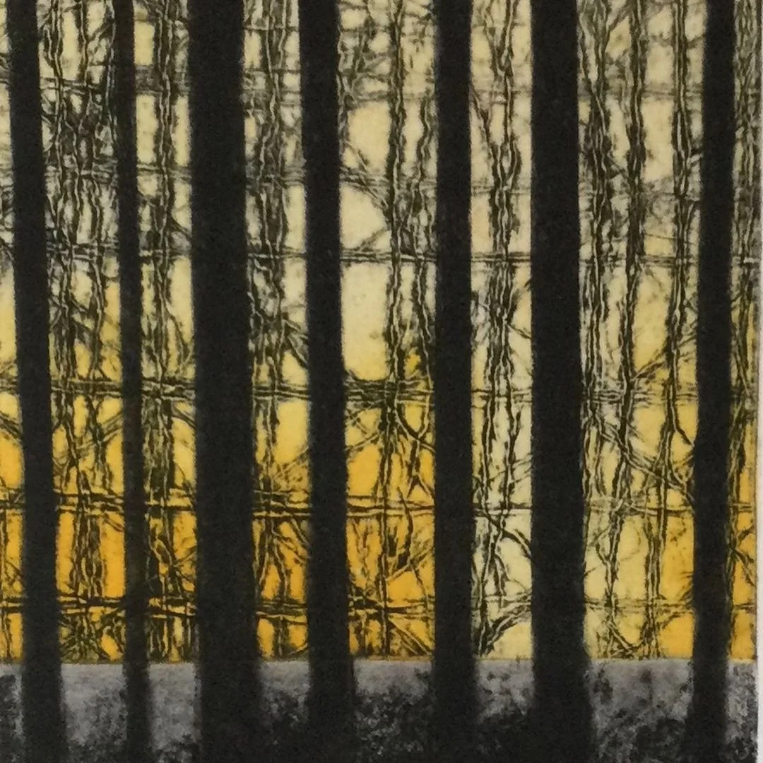 Introducing The Landscape Abstract Series by Sue Roe