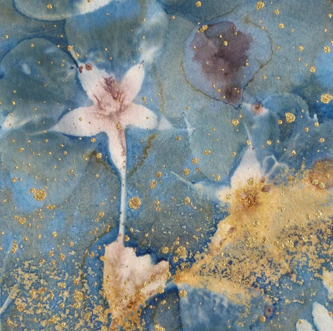Cyanotype Series by Sue Roe — Leigh Picture Framers & Calico Bird