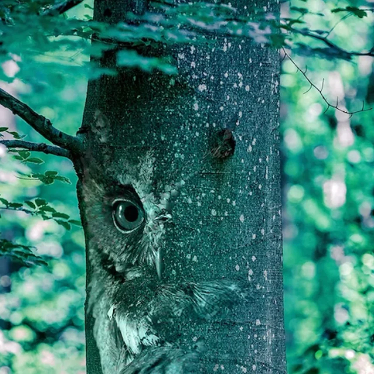 Cristina Schek Exhibiting at The Teddington Unlocked Art Exhibition, Teddington Riverside: 1- 30 October 2022