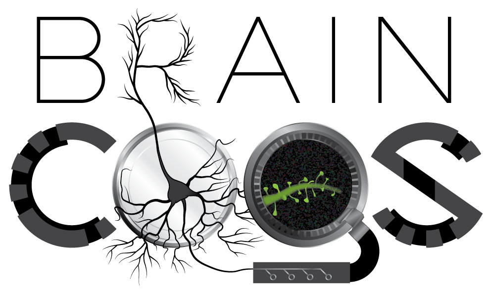 brain_cogs_on_white_brain_cogs_on_white.png