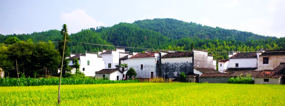 Wuyuan, China's Most Beautiful Countryside