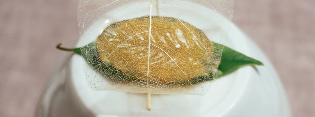 Chengdu - Yu Zhi Lan