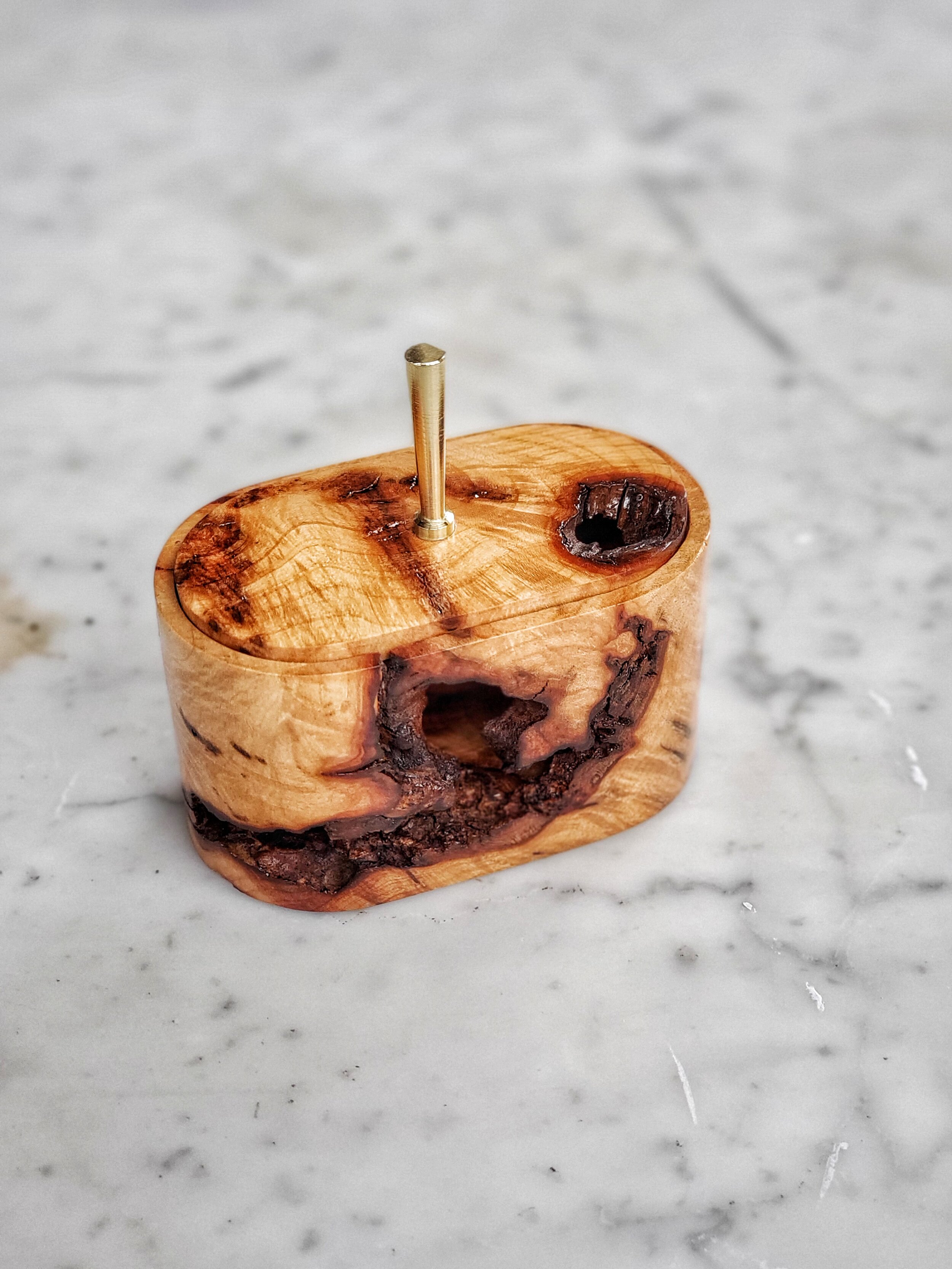 Nature Collection: Maple Burl #1