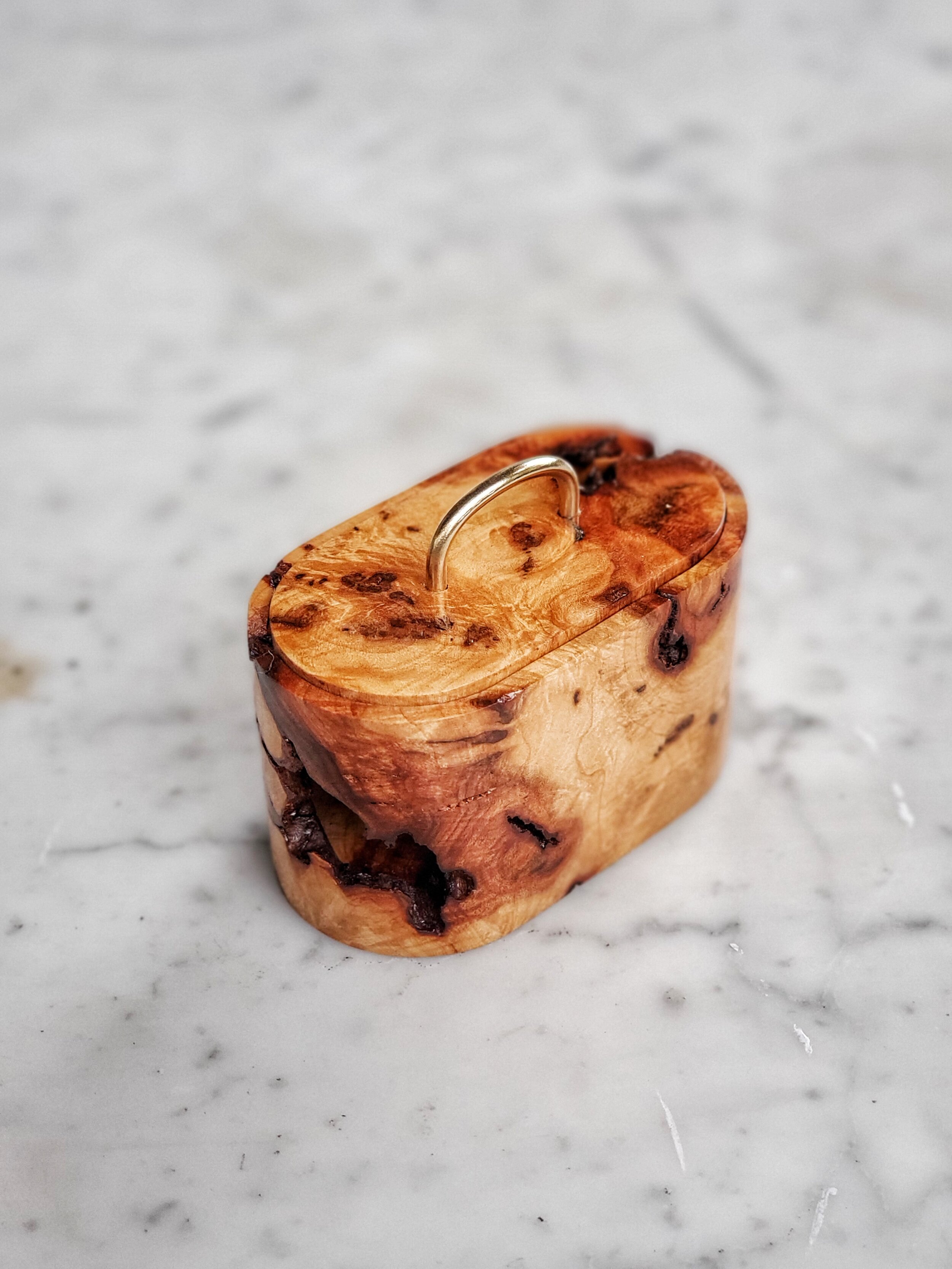 Nature Collection: Maple Burl #7
