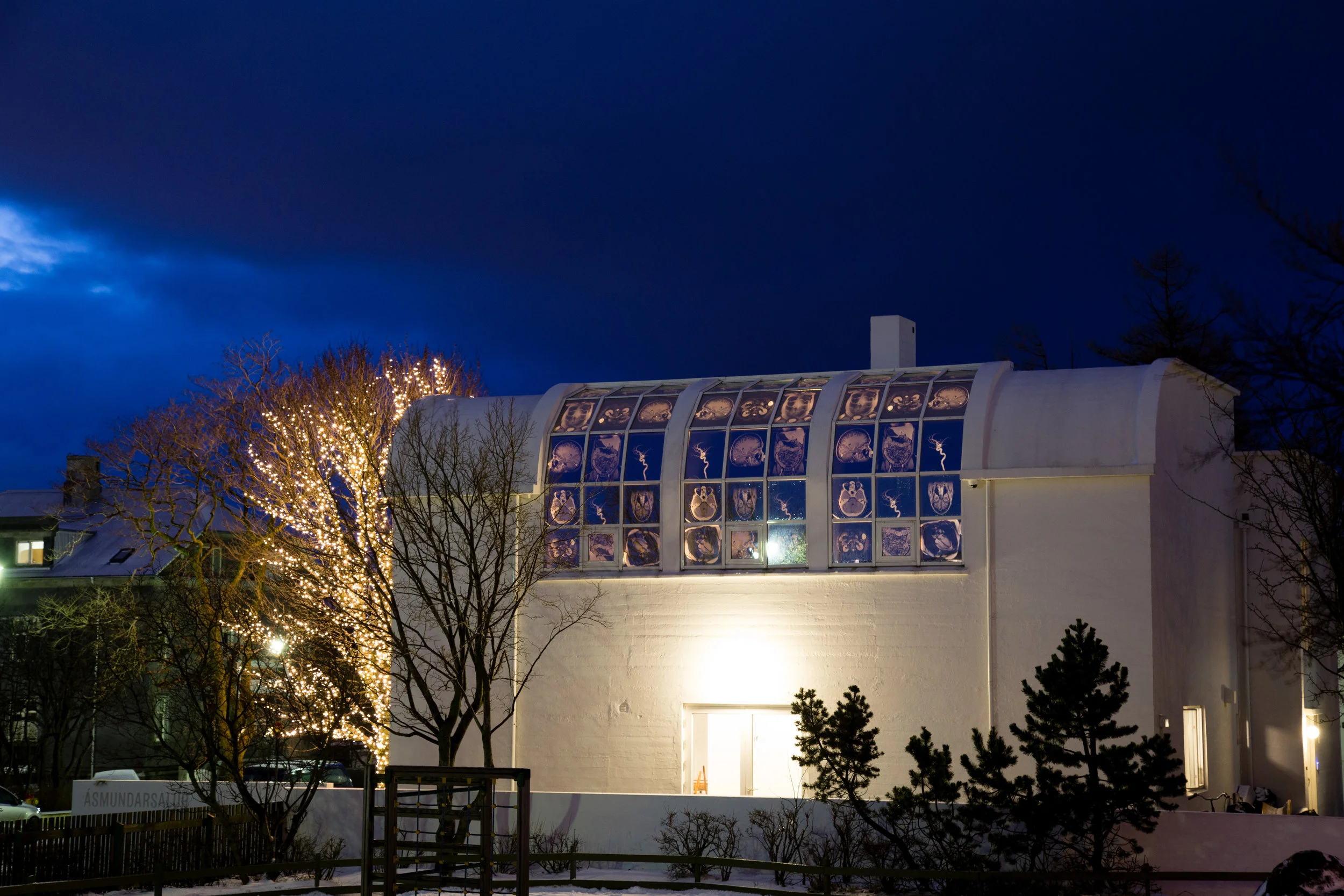 Líffærin-26.jpg