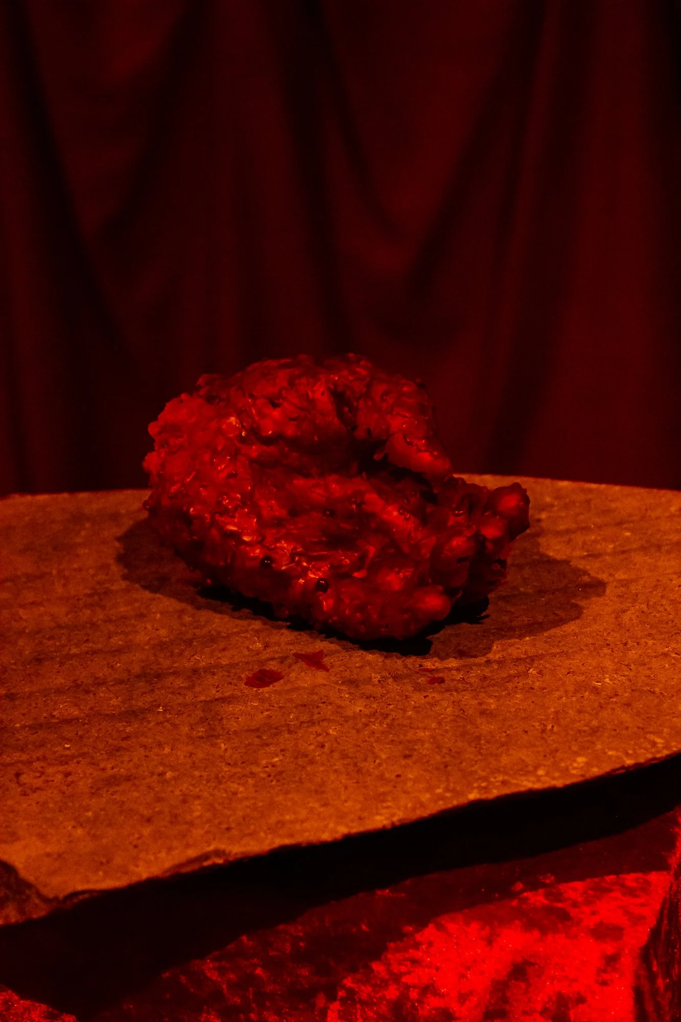 Finissage_Curro-14.jpg