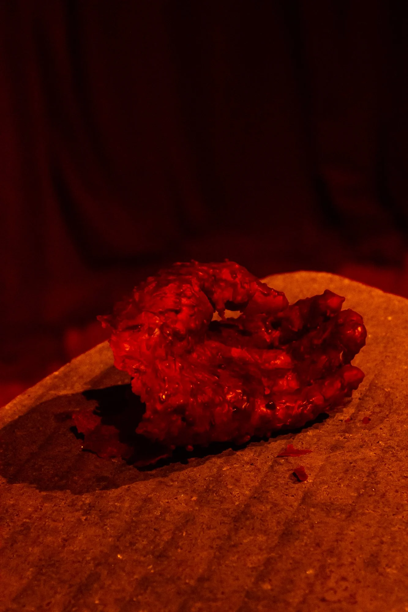 Finissage_Curro-19.jpg