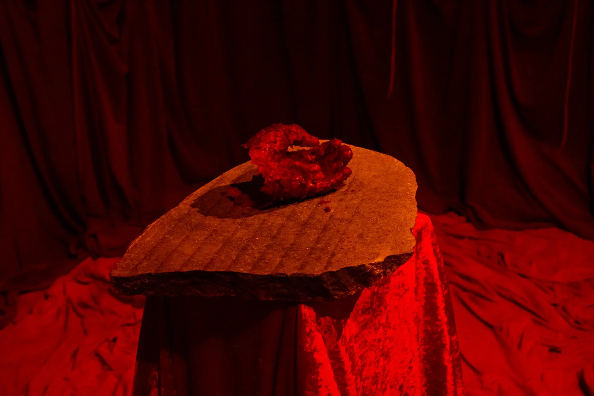 Finissage_Curro-23.jpg