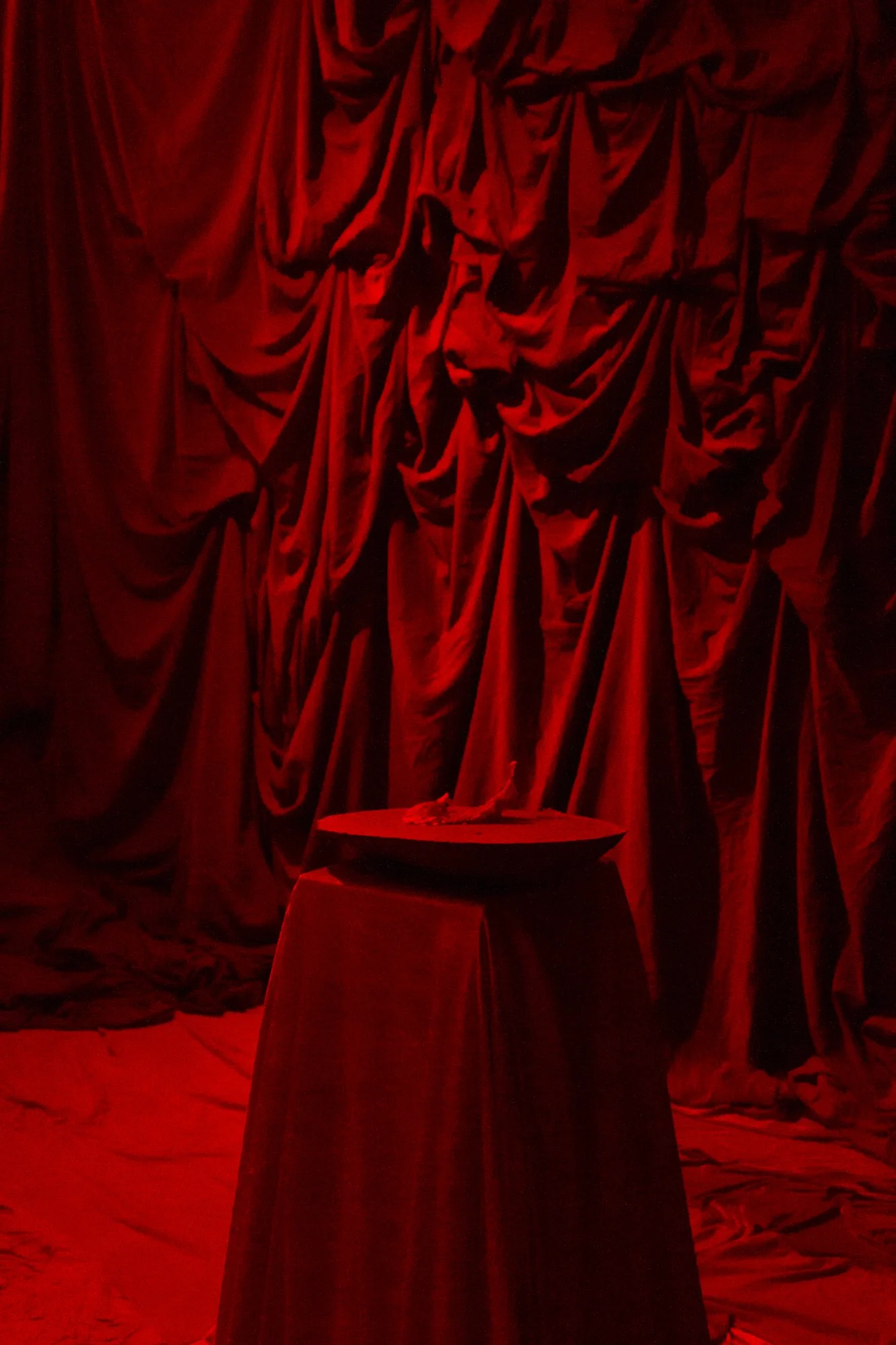 Curro_Process-37.jpg