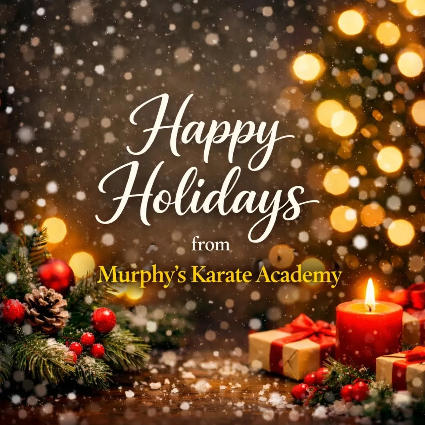 As we wrap up another amazing year, I want to take a moment to say thank you.

To my students, their families, and my fellow instructors&mdash;your dedication, support, and hard work are what make Murphy&rsquo;s Karate Academy so special. I am gratef